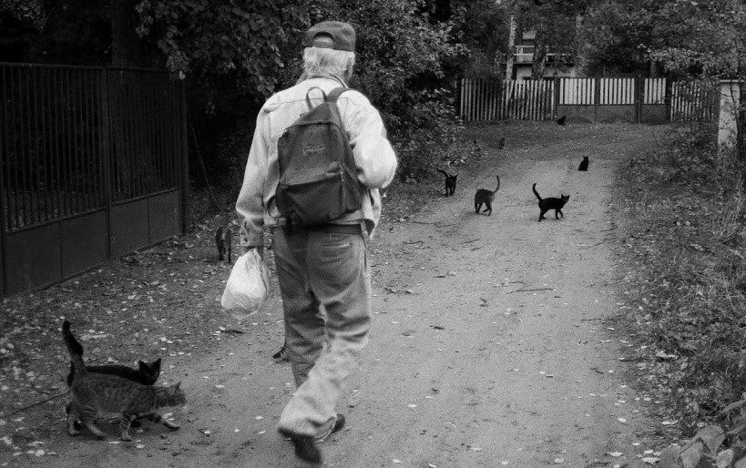 BOHUMIL HRABAL — ALL MY CATS 