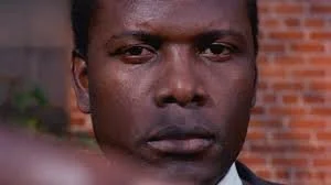 Percival Everett I Am Not Sidney Poitier