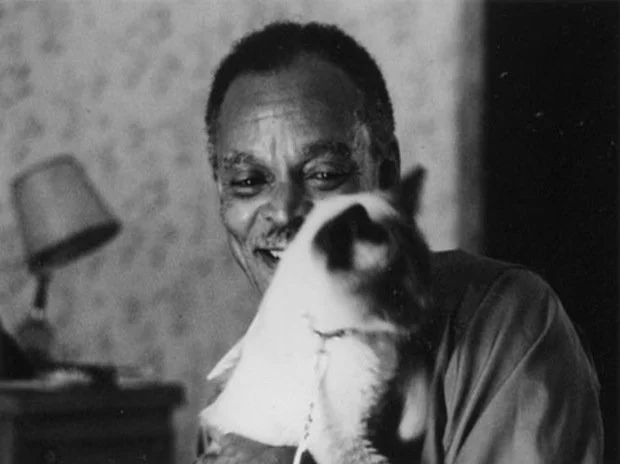 Chester Himes a Rage in Harlem