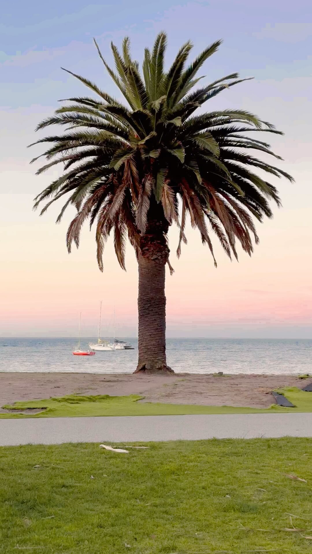 GEELONG RUNNERS CLUB