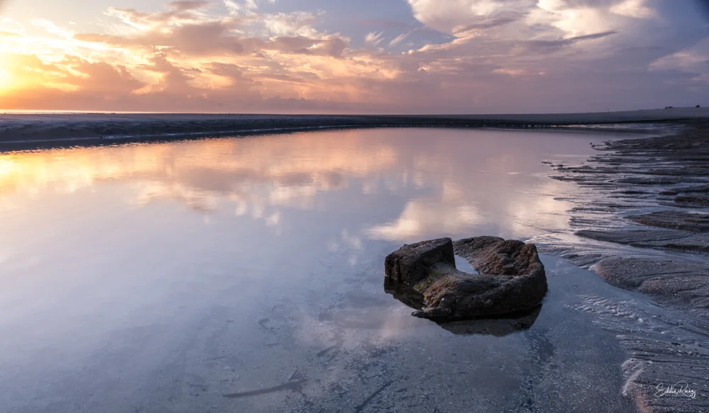 IMGP2598-Edit.jpg