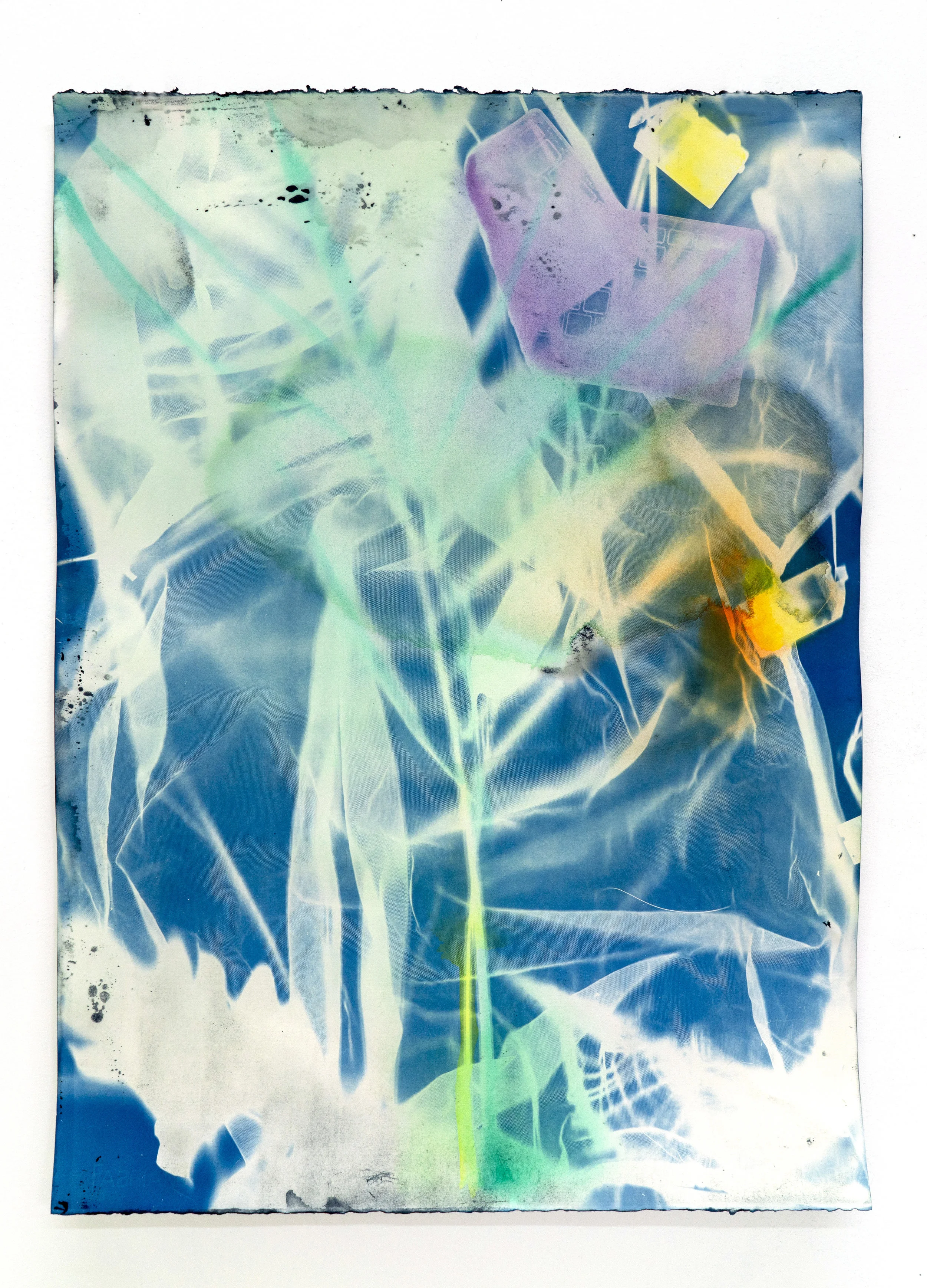 Tree Time 5, 2019