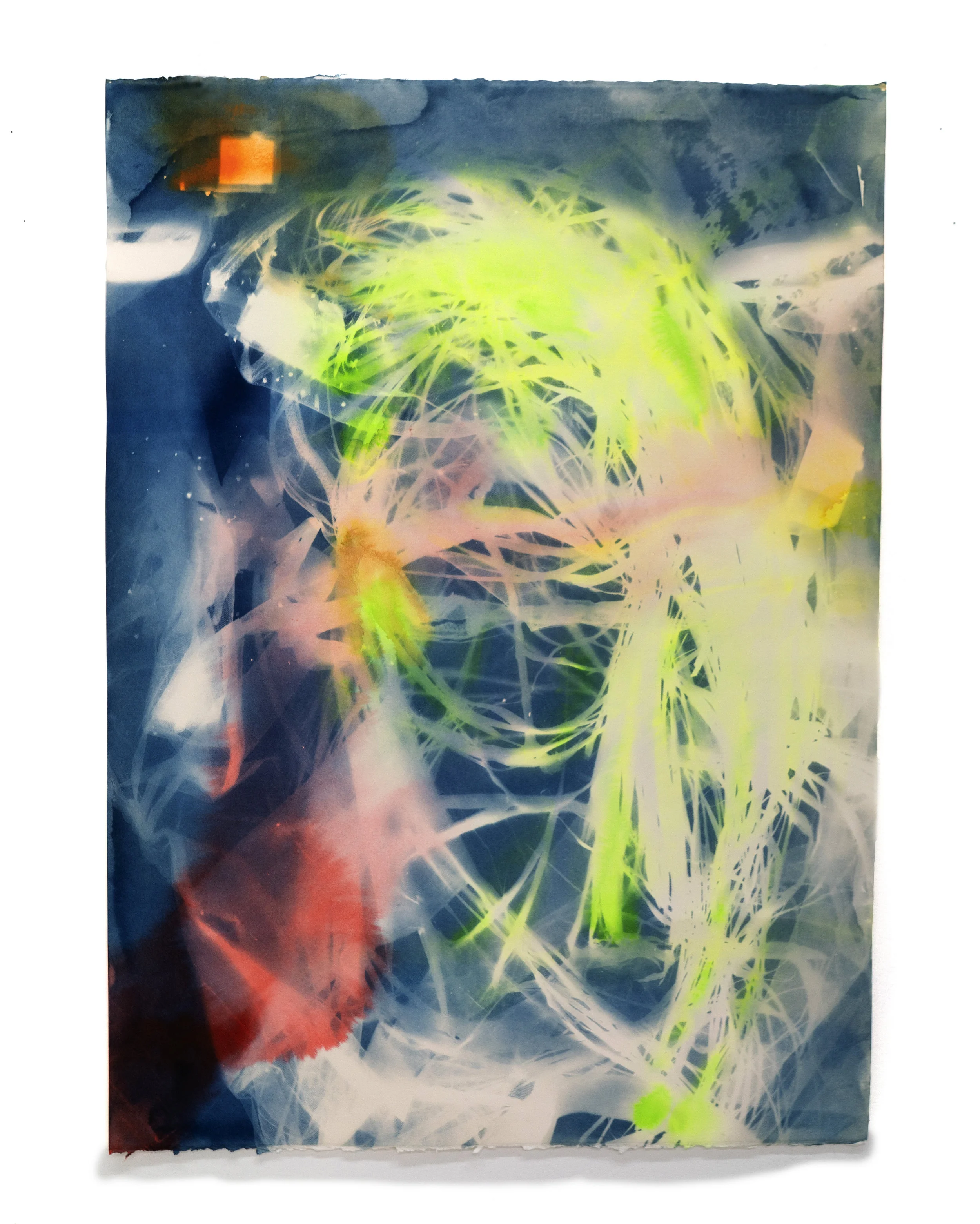 Tree Time 7, 2019
