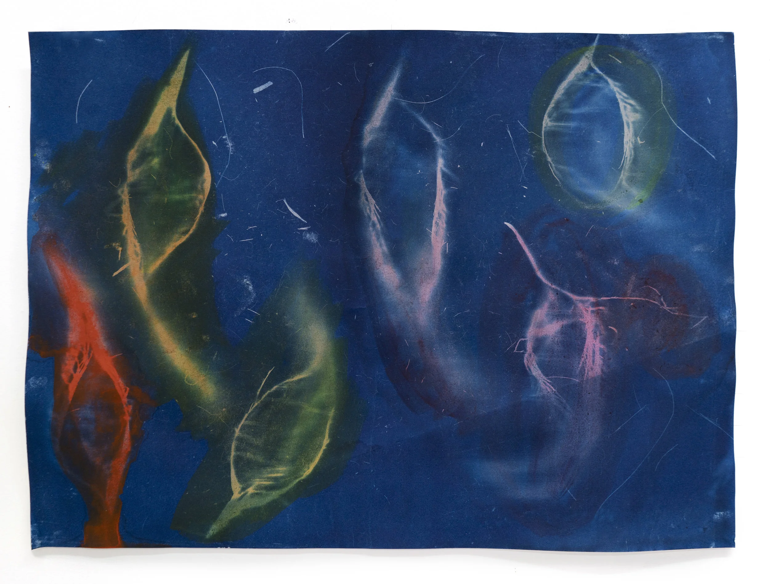 Tree Time 9, 2019