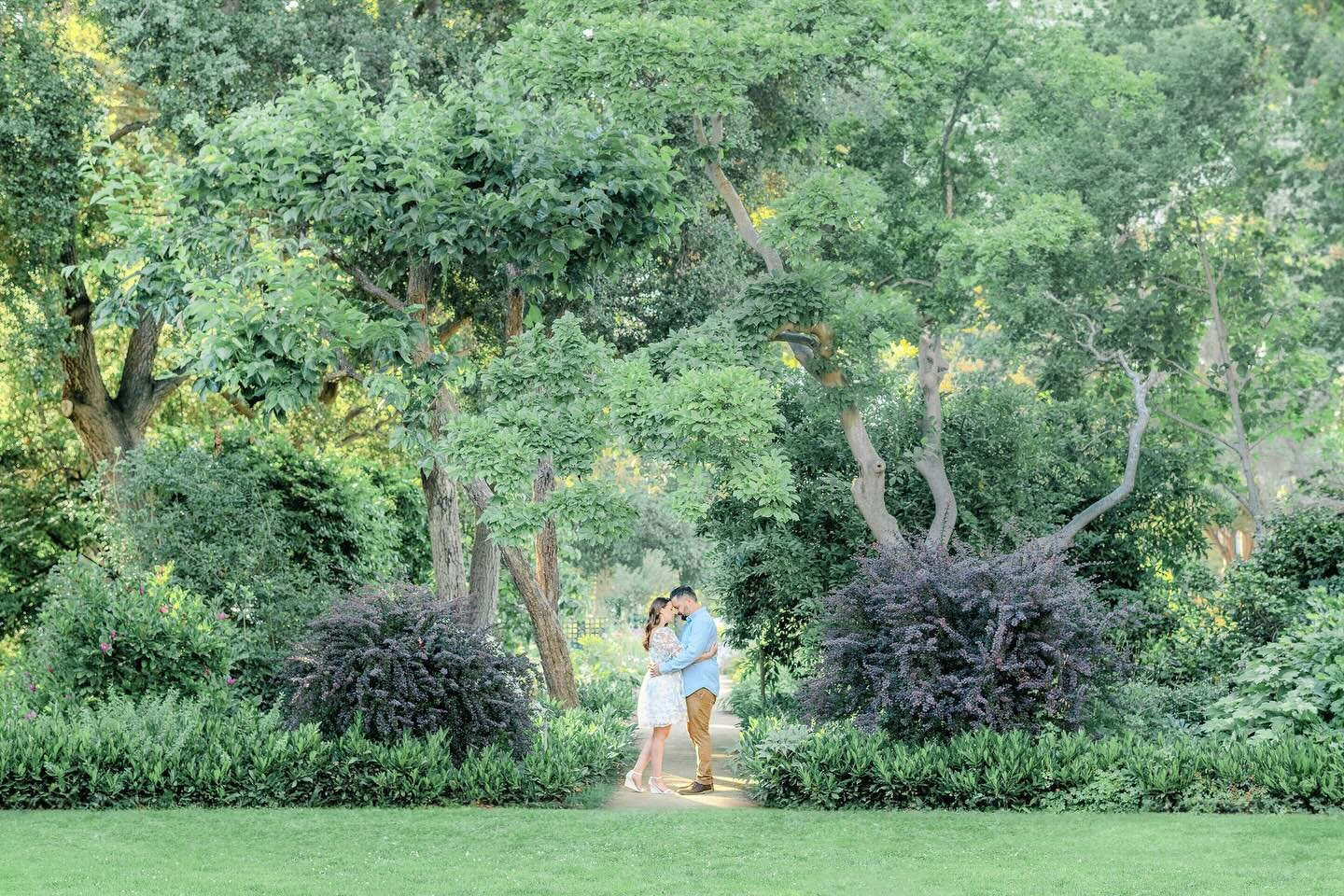 Surrounded by nature&rsquo;s beauty.🪻

#loveandnature #naturalbeauty #gardenromance #flowerblooms #couplesession #bayareaengagementphotographer #gardenengagement #engagementphotography #gamblegarden #gamblegardenpaloalto #paloalto