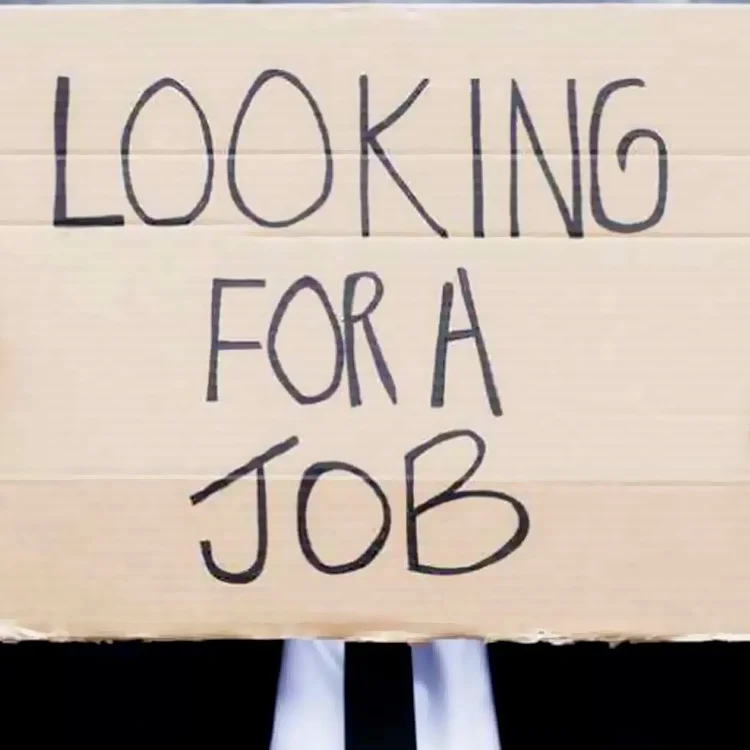  Out of Work? Chin Up! All It Takes is One ‘Yes’