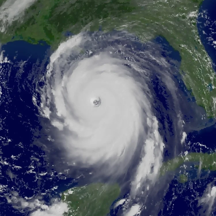 Free Job Search Help for Katrina Victims