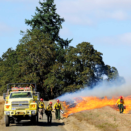 PrescreibedFire_420x420.jpg