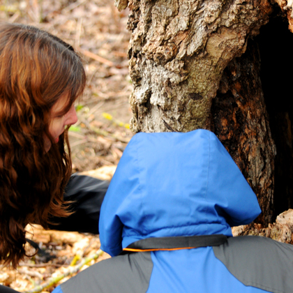 ExploringTree_420x420.jpg