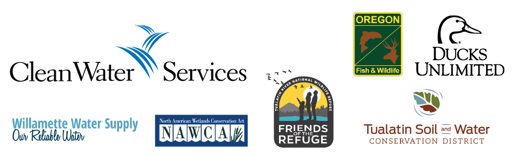 Chicken Creek Partners.png