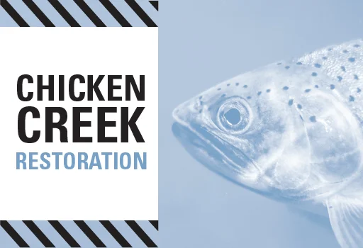 Chicken Creek Web Banner.jpg
