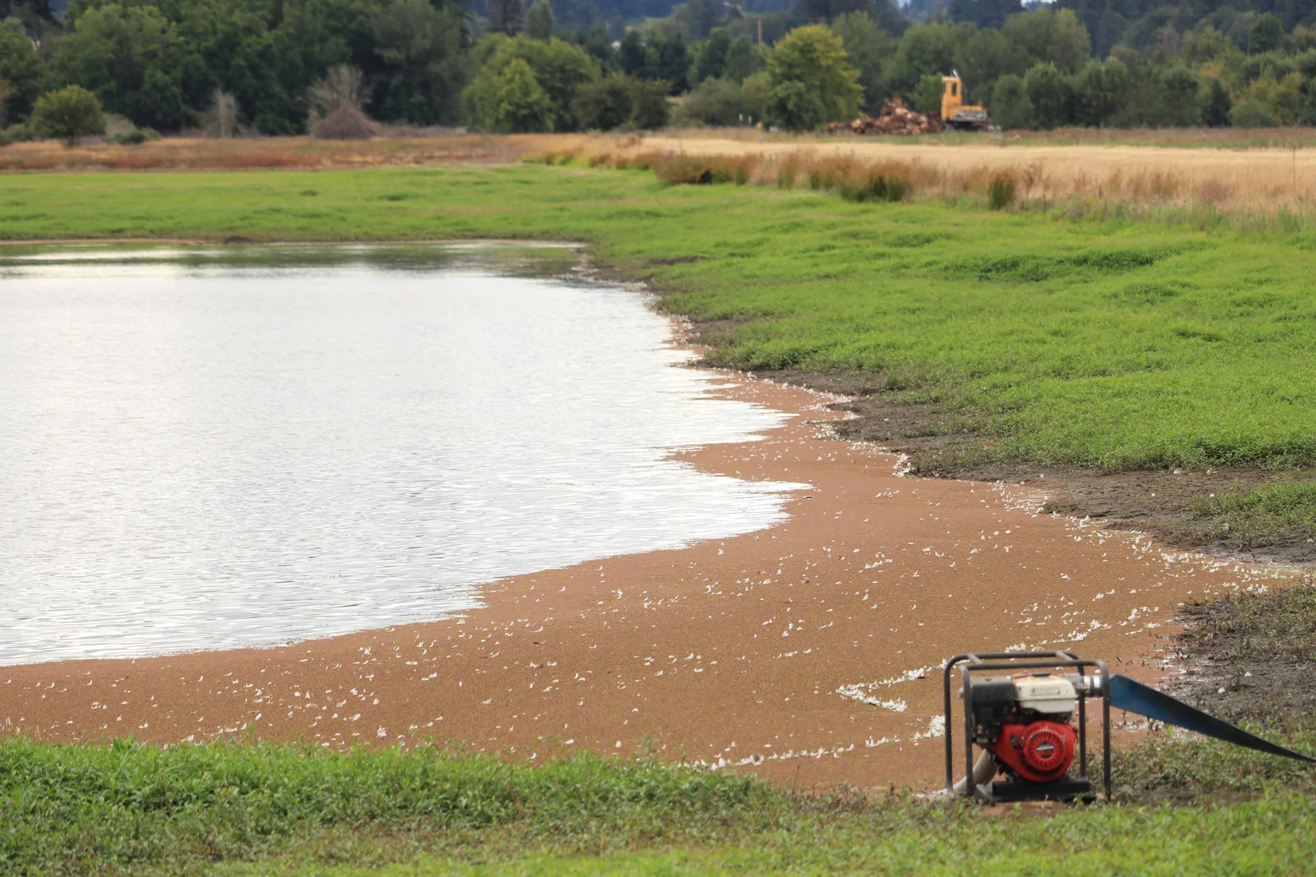 A small pump speeds up the natural drying of the 2S wetland.