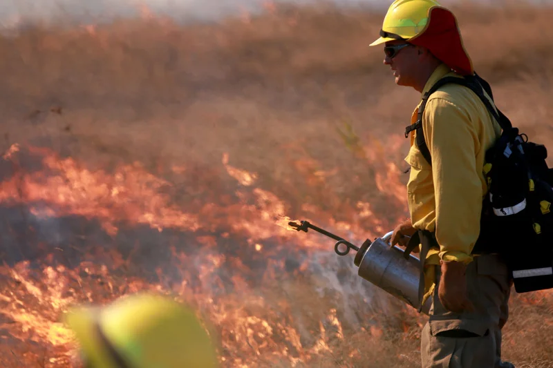 In September 2018, Ridgefield NWR re-introduced prescribed fire as a management tool of the land.