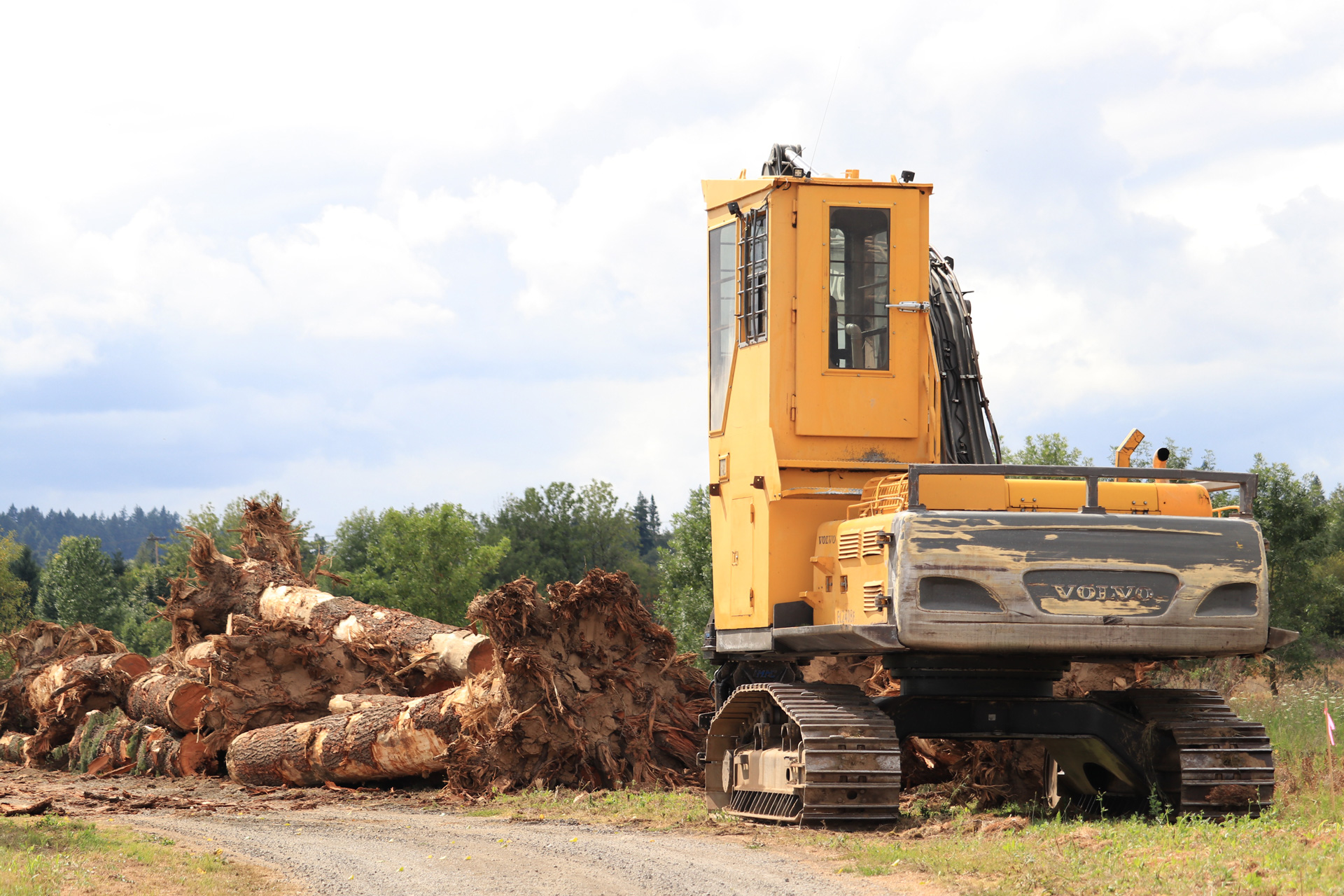 Staged-Logs-1.jpg