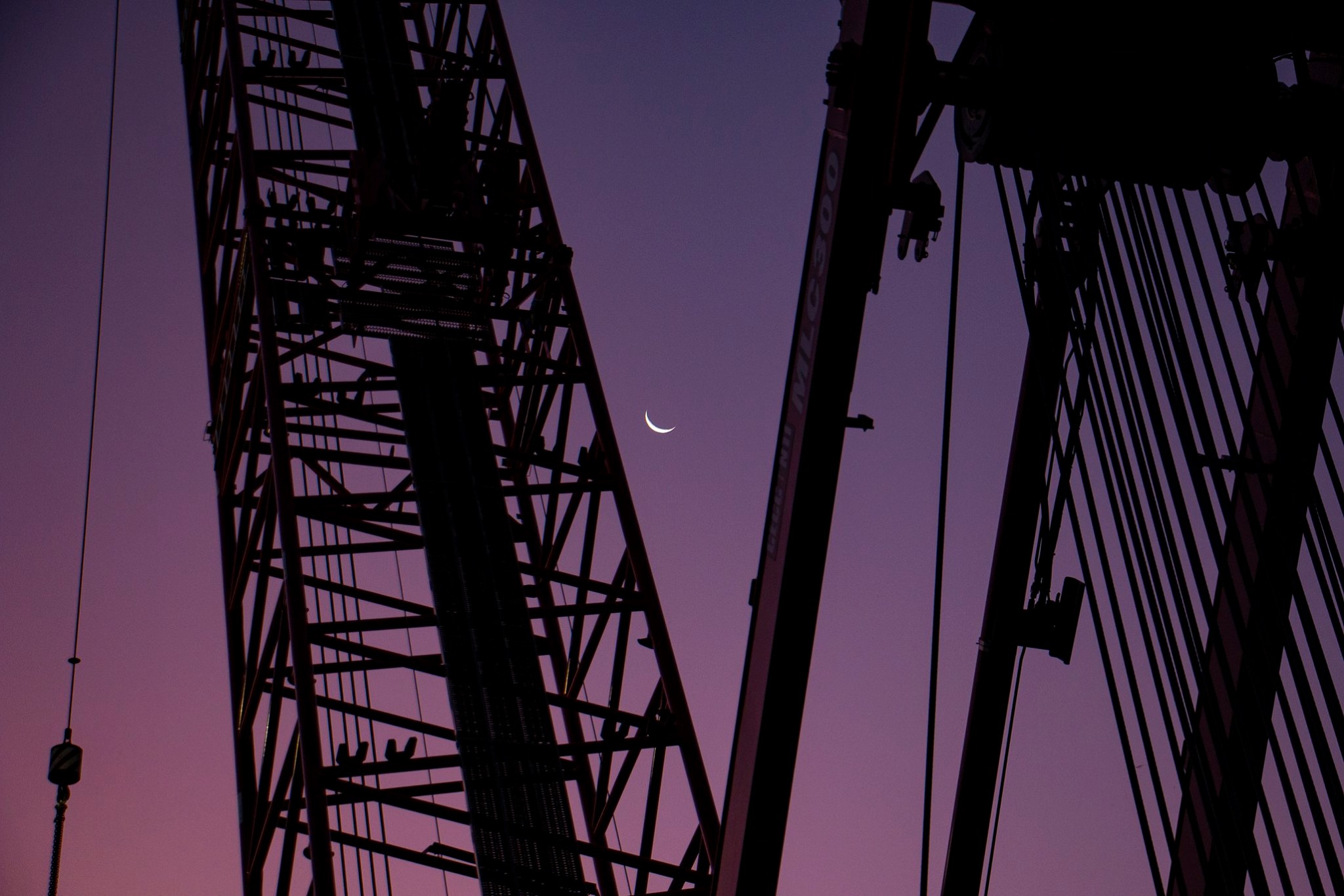 Crane Moon_Ceccanti.jpg