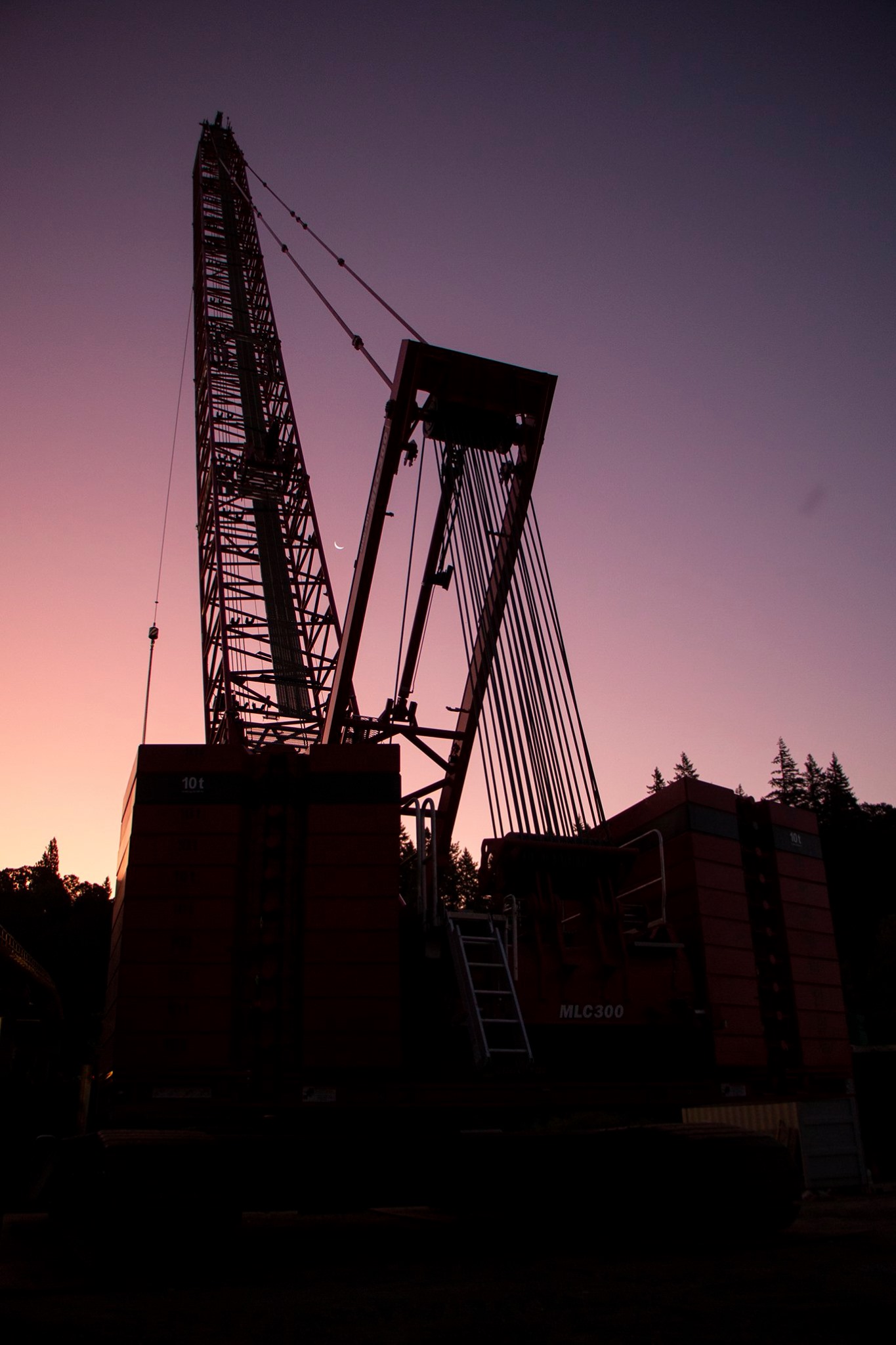 Crane Silhouette_Ceccanti.jpg