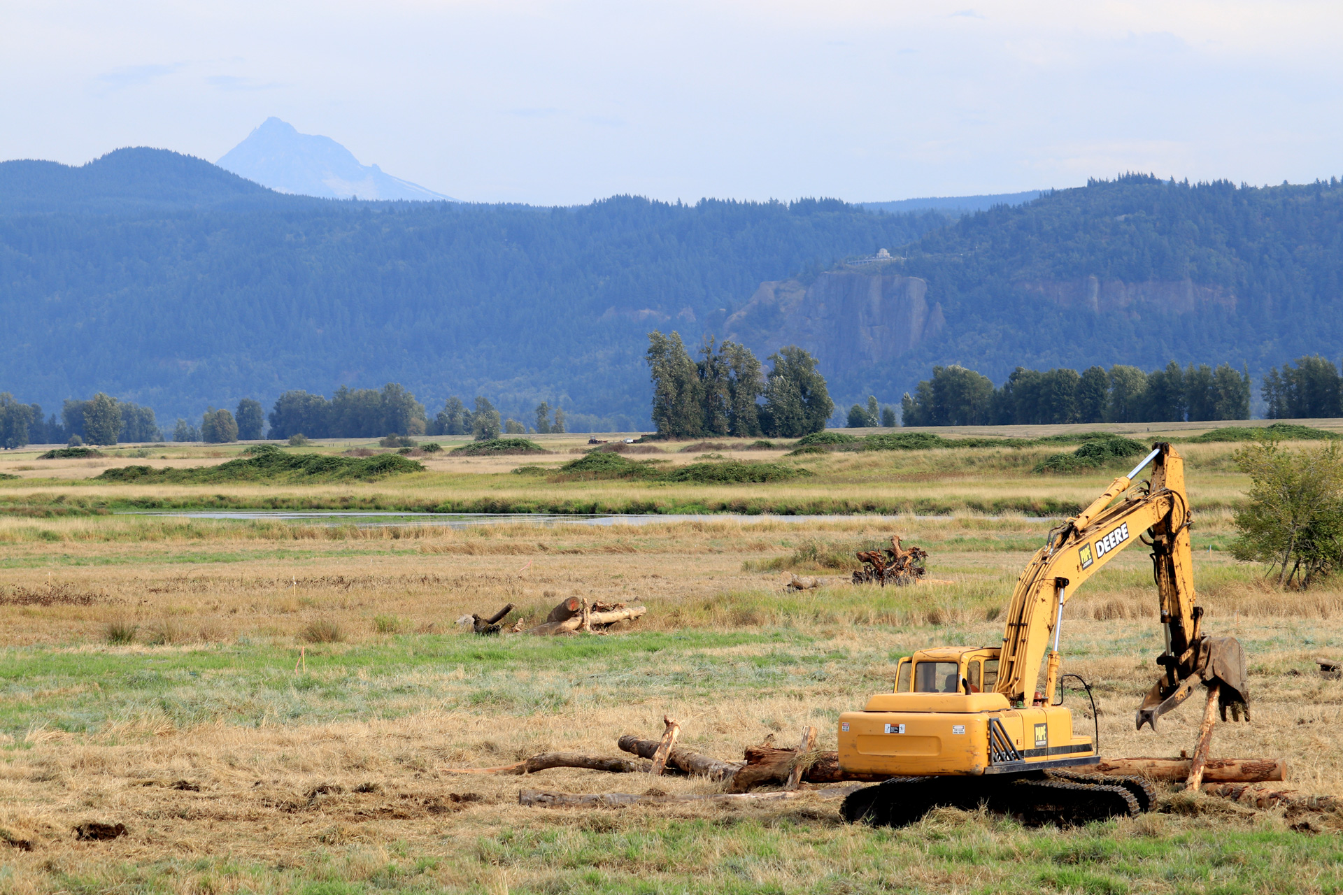 Crews are working to enhance the alluvial fan of Gibbons Creek, where the ground levels out and nutrient rich soil from the Creek are deposited by slowing water.
