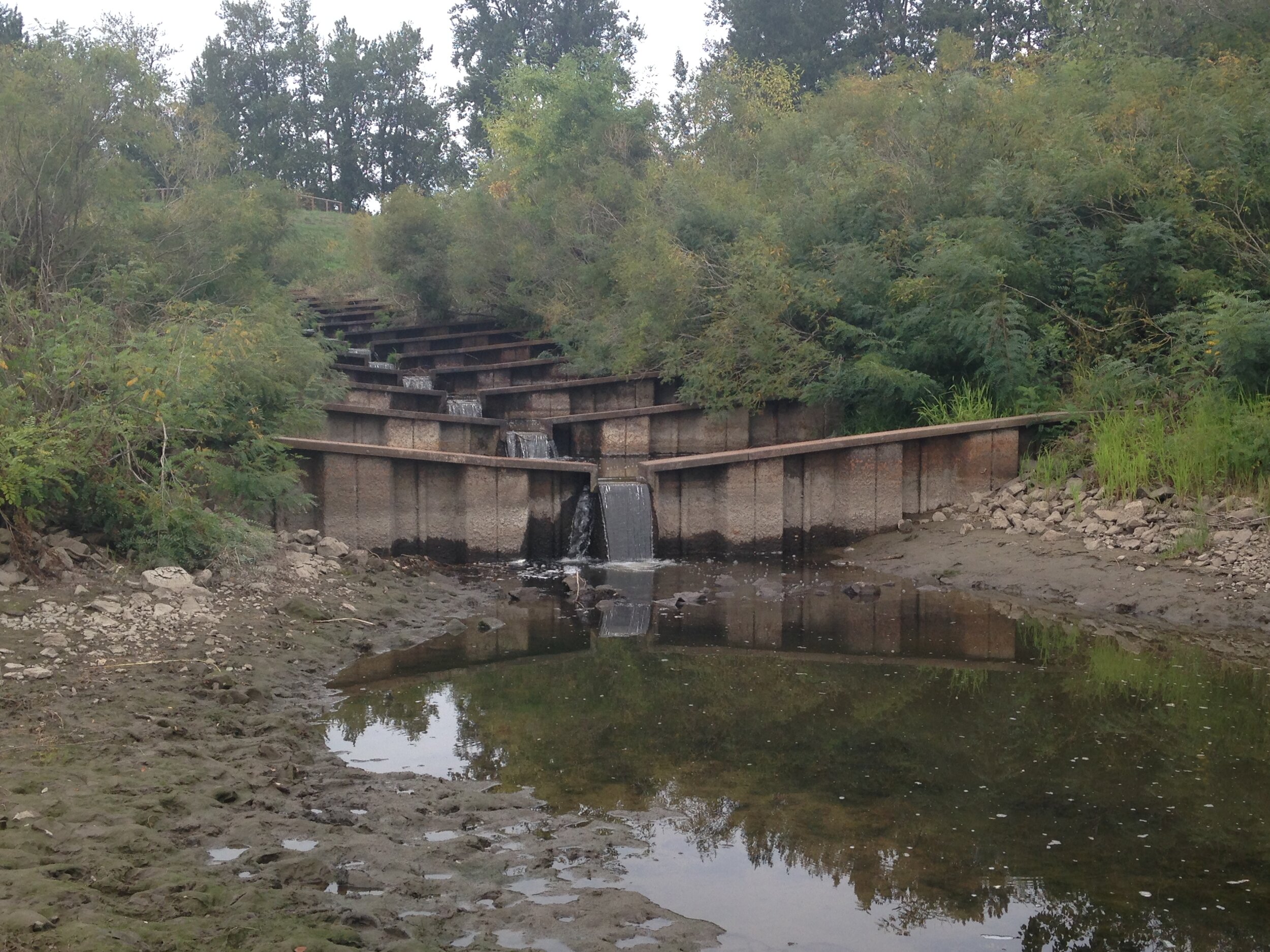 The Gibbons Creek fish ladder that will be removed during year two of the reconnection project.