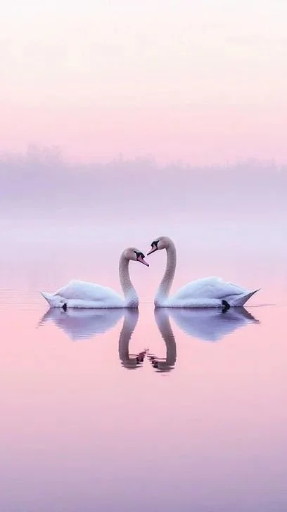 The Power of Vulnerability