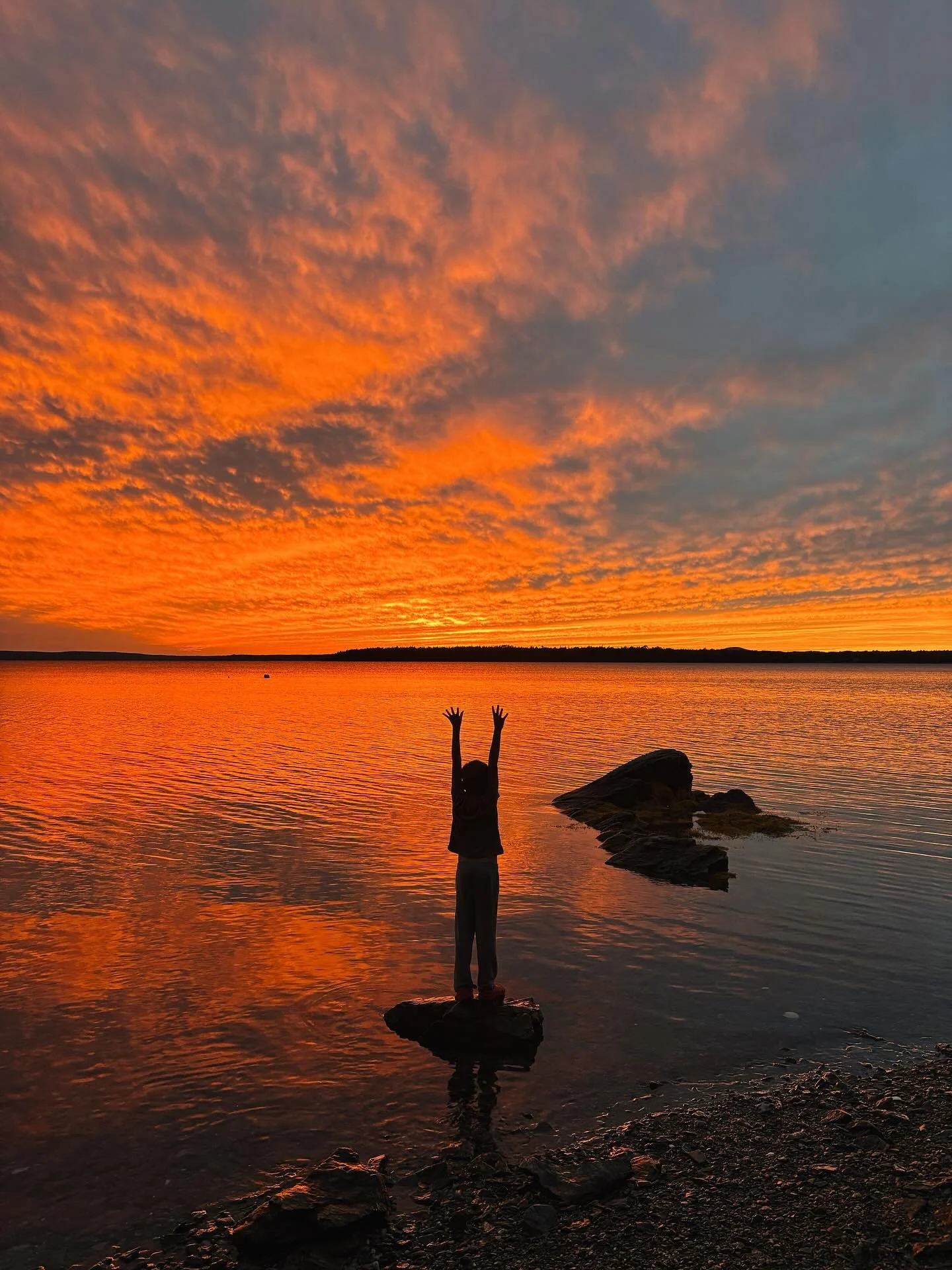 A much needed trip up the coast for a rest after a hectic season&hellip;THANK YOU for keeping us busy doing what we love! 

Tulips arrive this week and we&rsquo;re back to work prepping for winter and beyond! 🤩