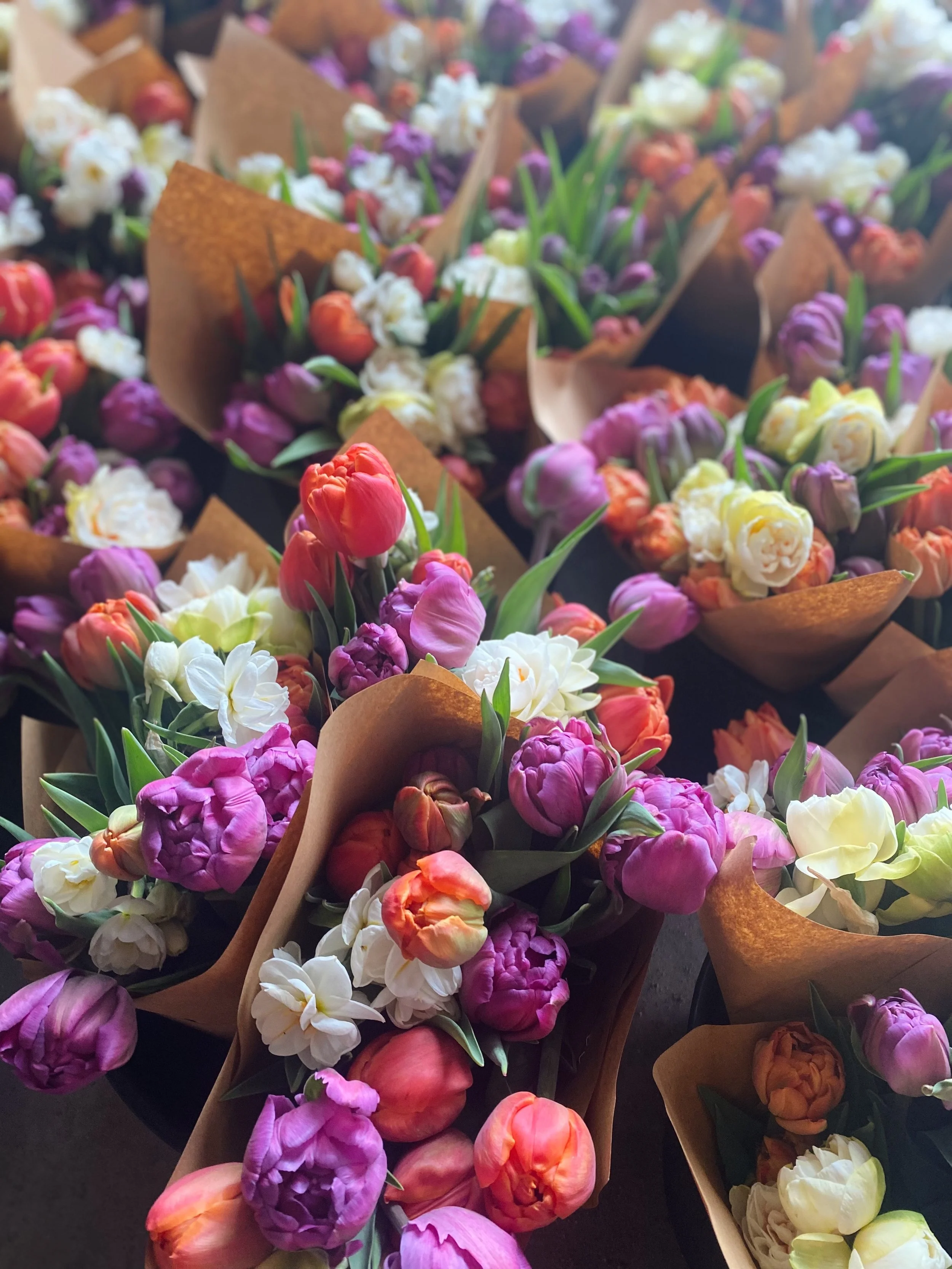 FullSizeRender_VSCO 32.JPG