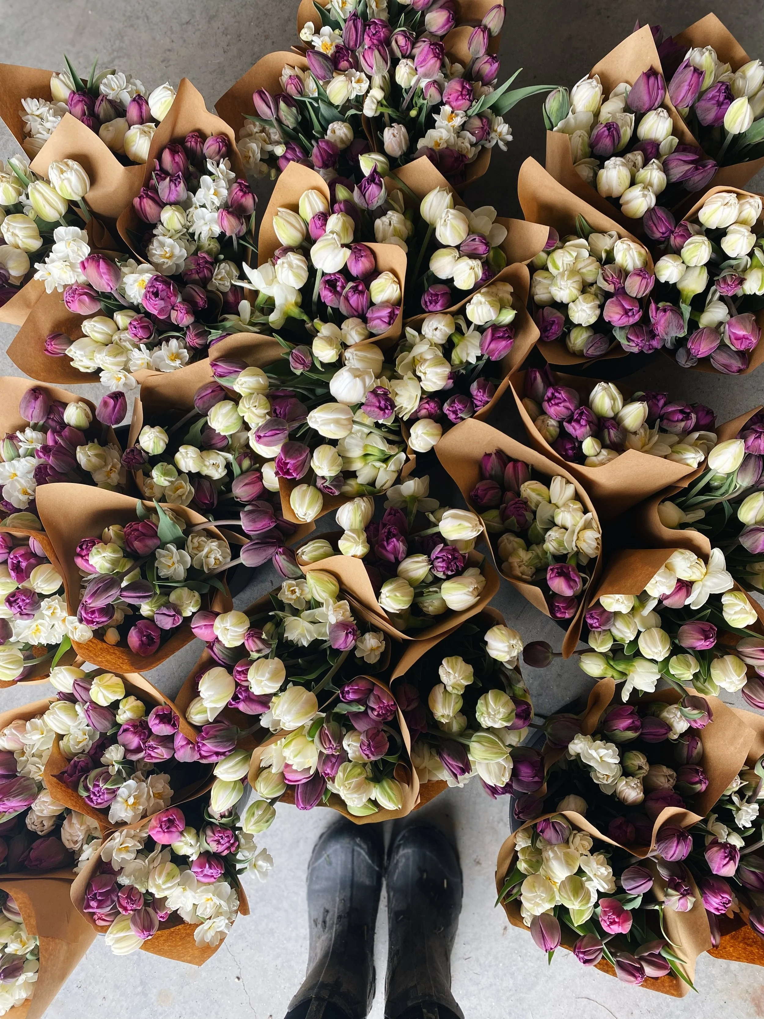 FullSizeRender_VSCO 35.JPG