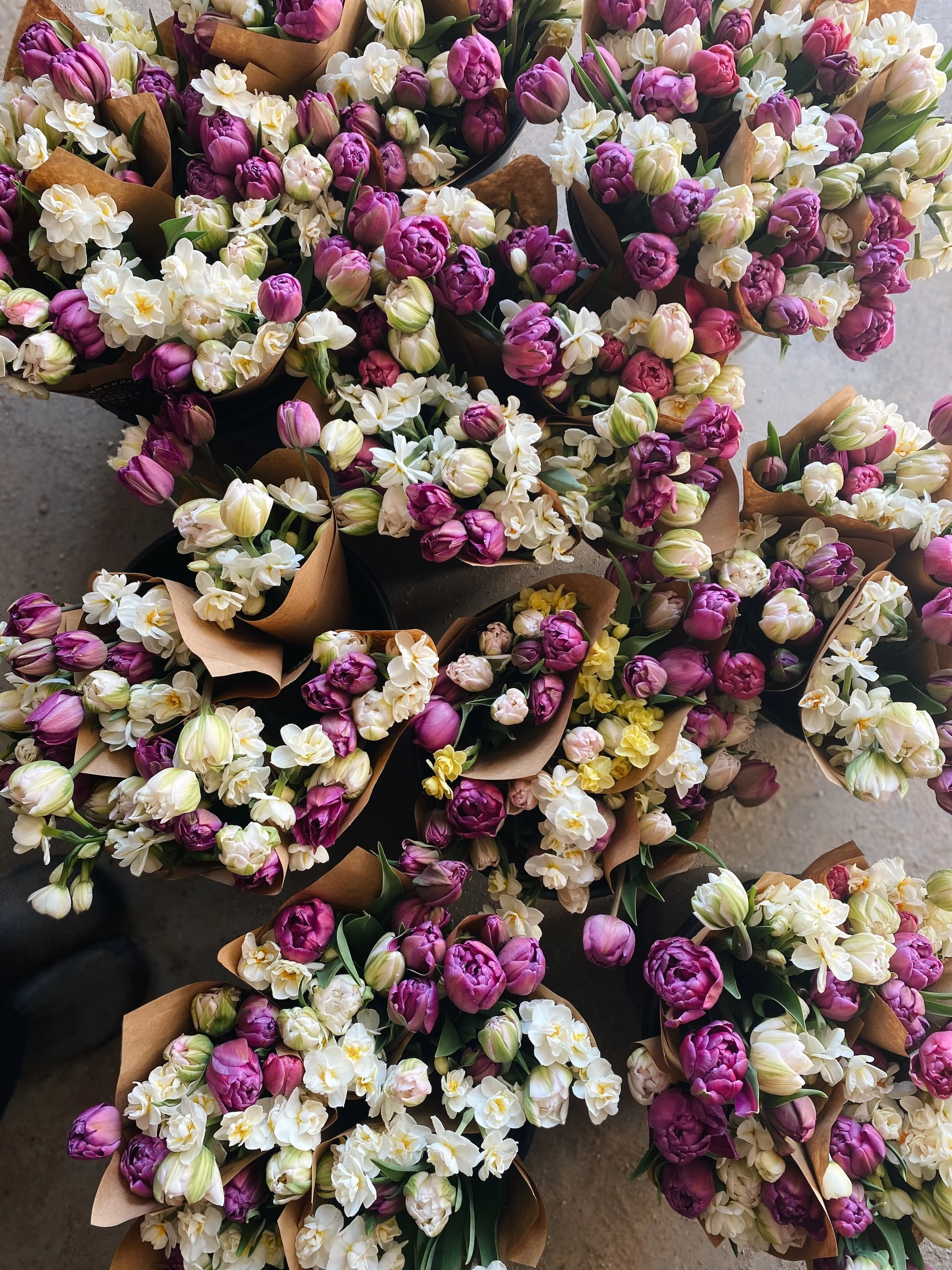 FullSizeRender_VSCO 34.JPG