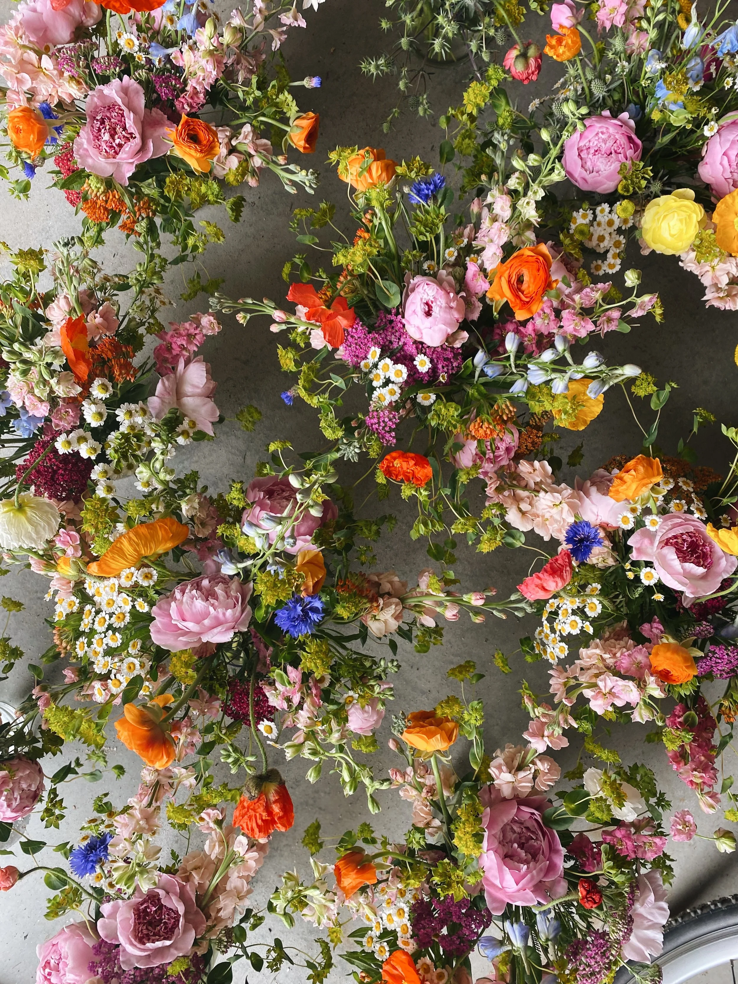 FullSizeRender_VSCO 37.JPG