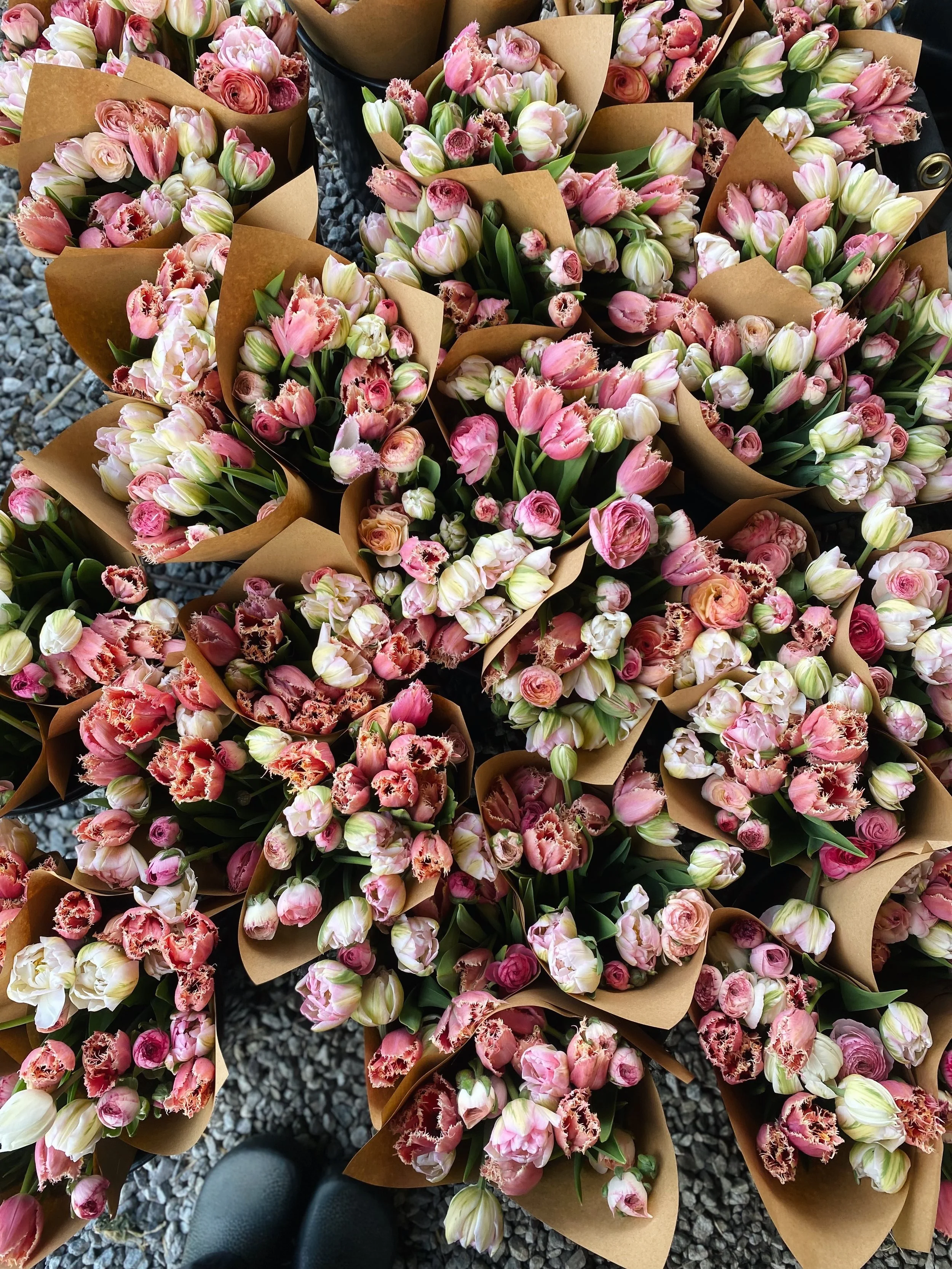 FullSizeRender_VSCO 30.JPG