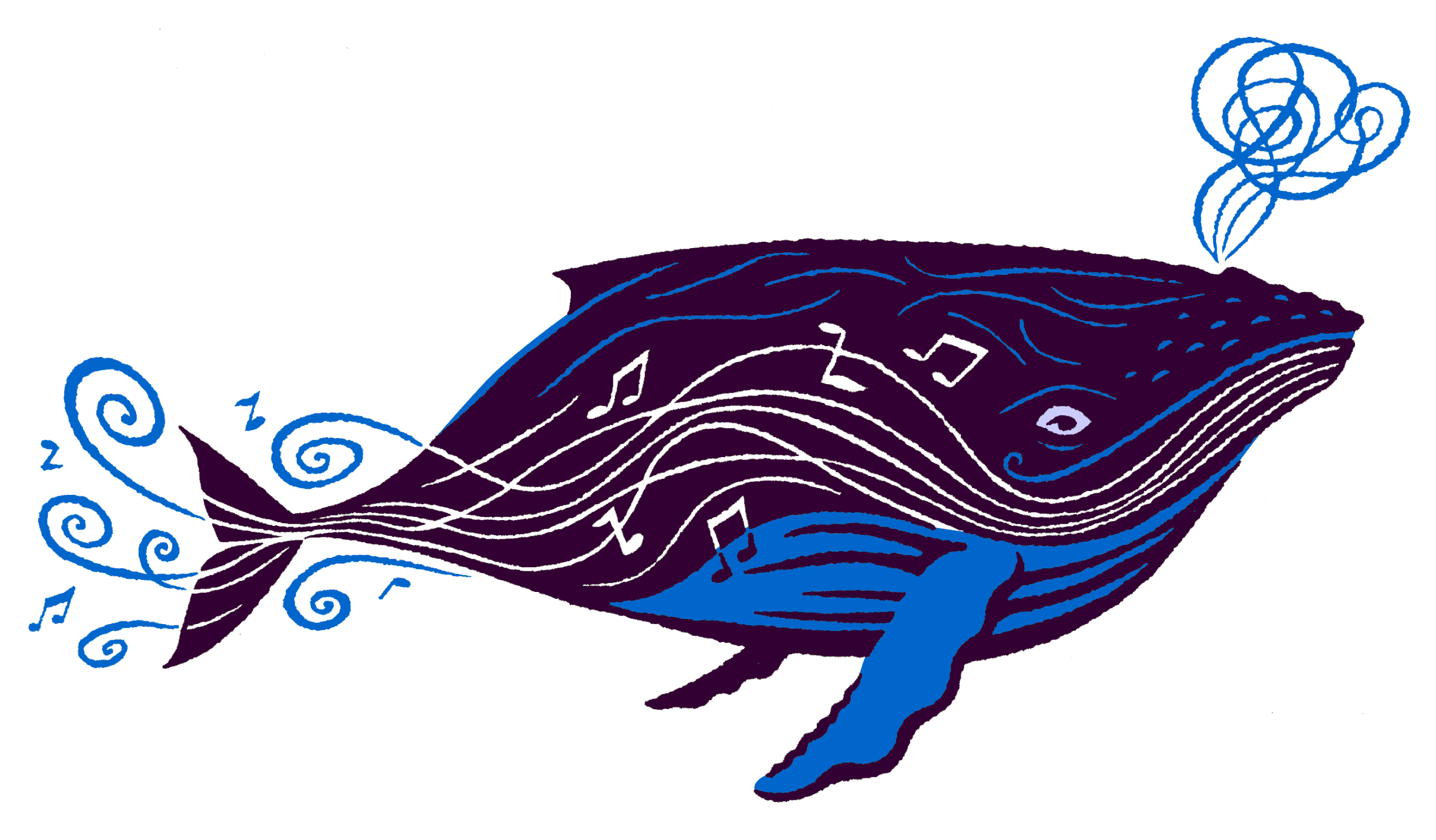 Maui-whale-&-music.gif
