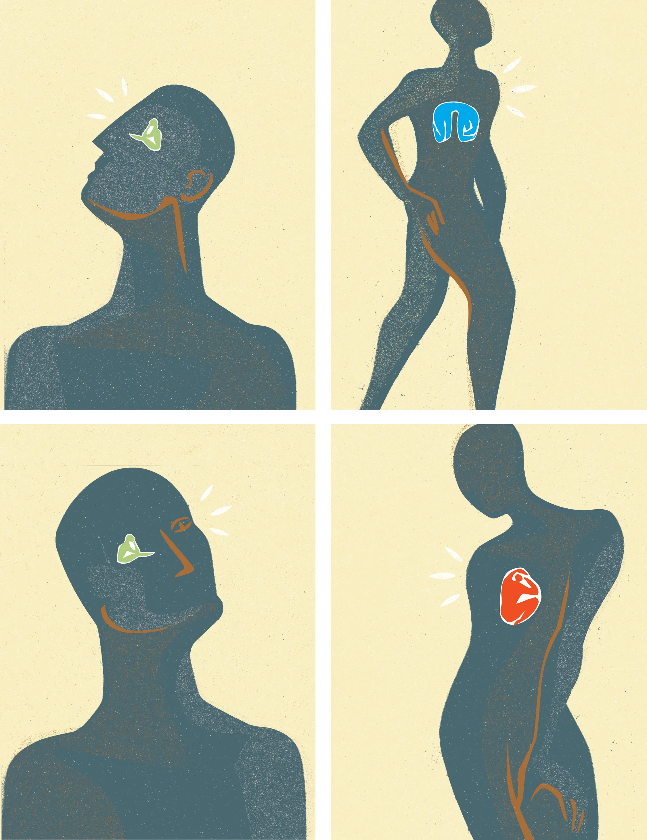 DONATE-ORGANS.jpg