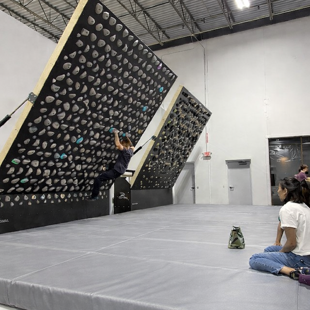 standard_gym wall mats_500x500silver.png