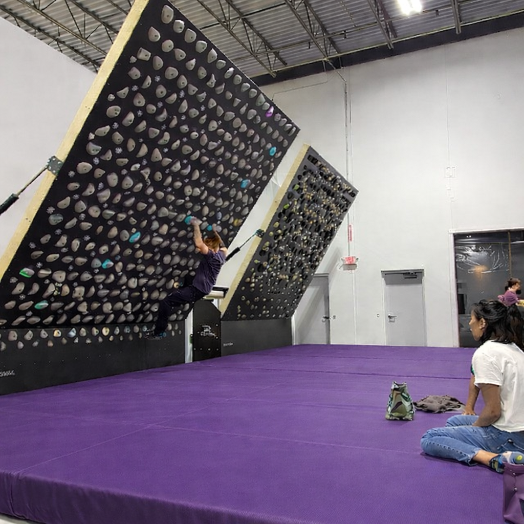 standard_gym wall mats_500x500purple.png