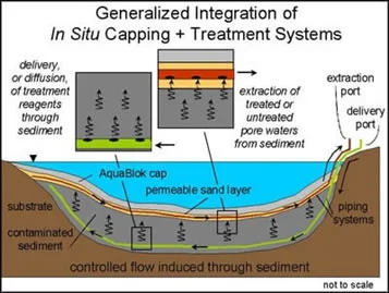 In-Situ Capping Graphic.jpg