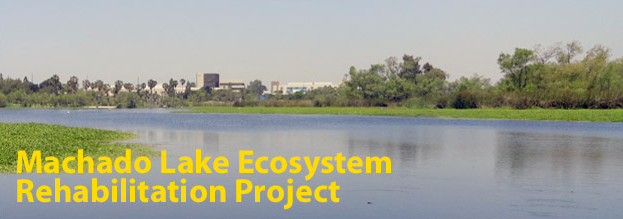 Machado Lake Ecosystem Rehab Project.png