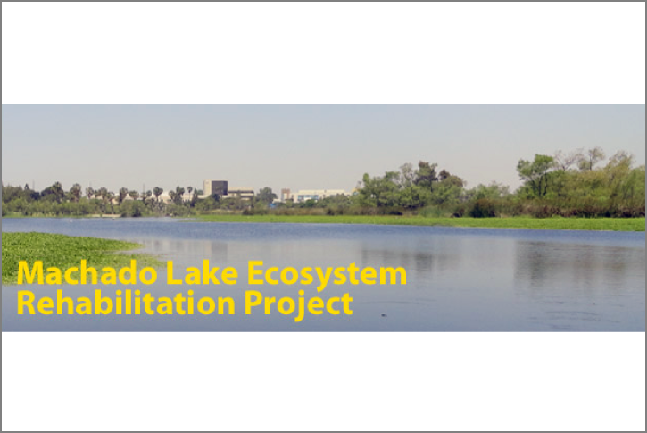 Isolation Layer Enables Lake Ecosystem Rehabilitation
