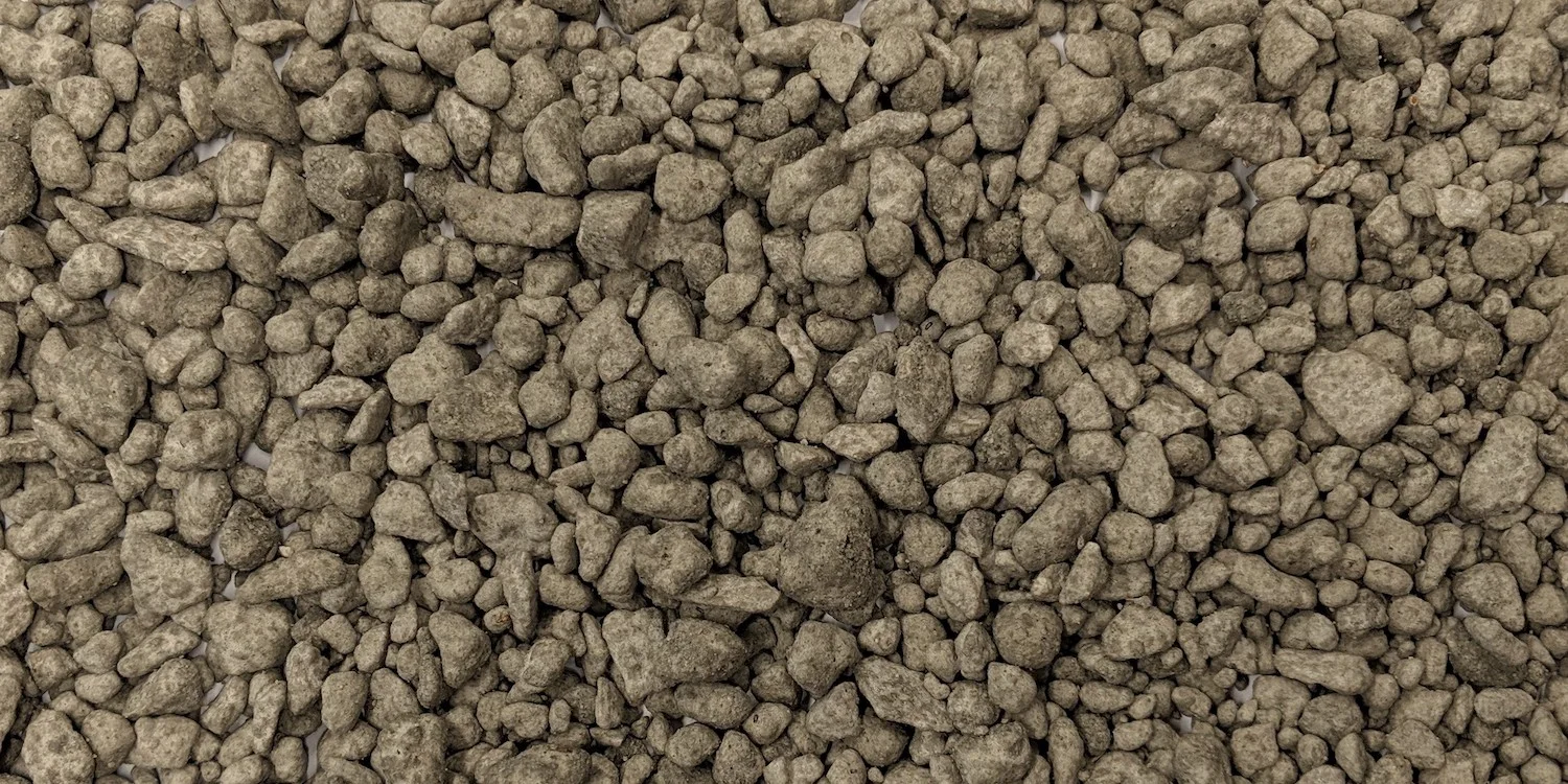 SubmerSeed Header.jpg