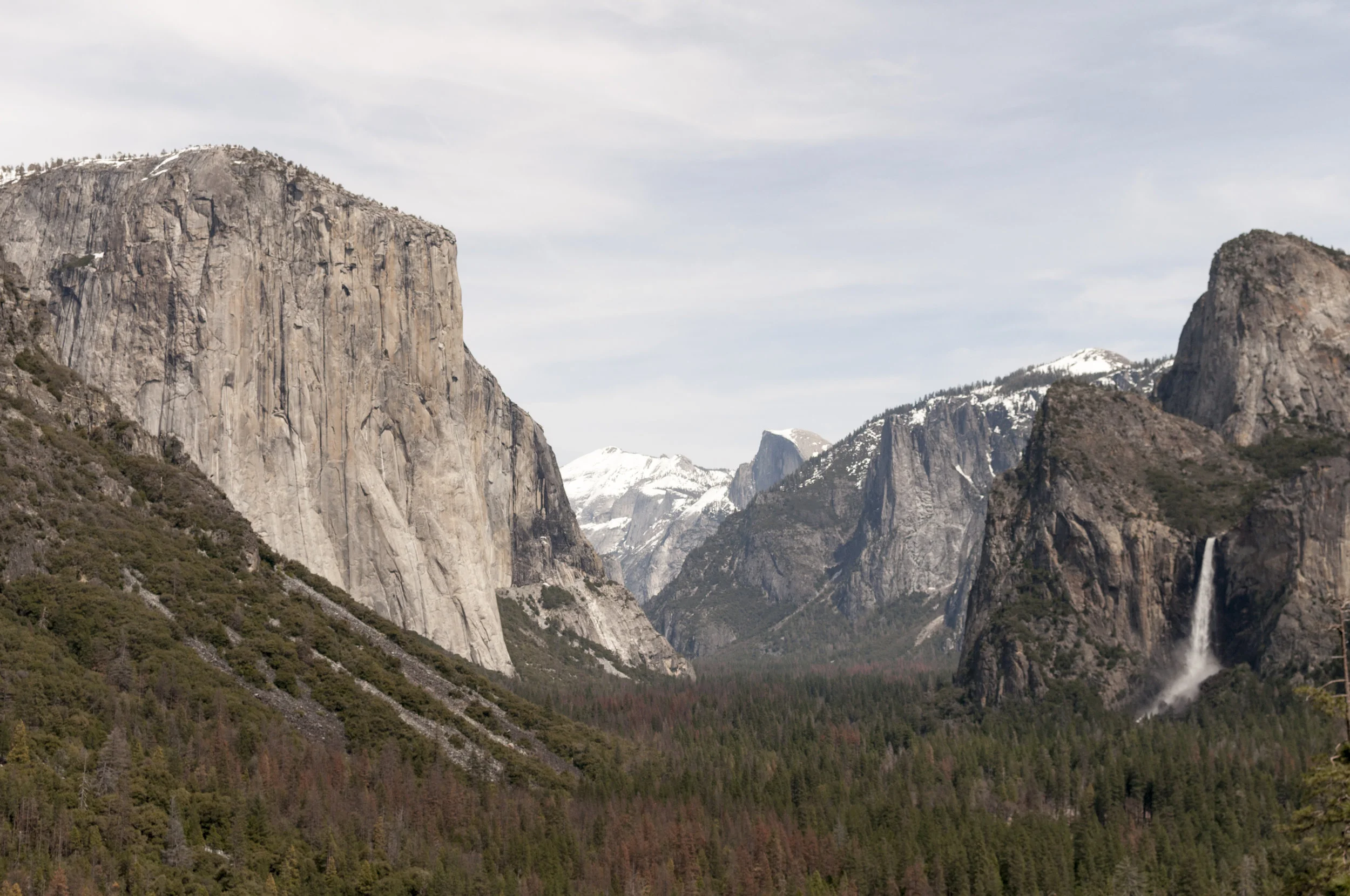 DSC_0317.jpg
