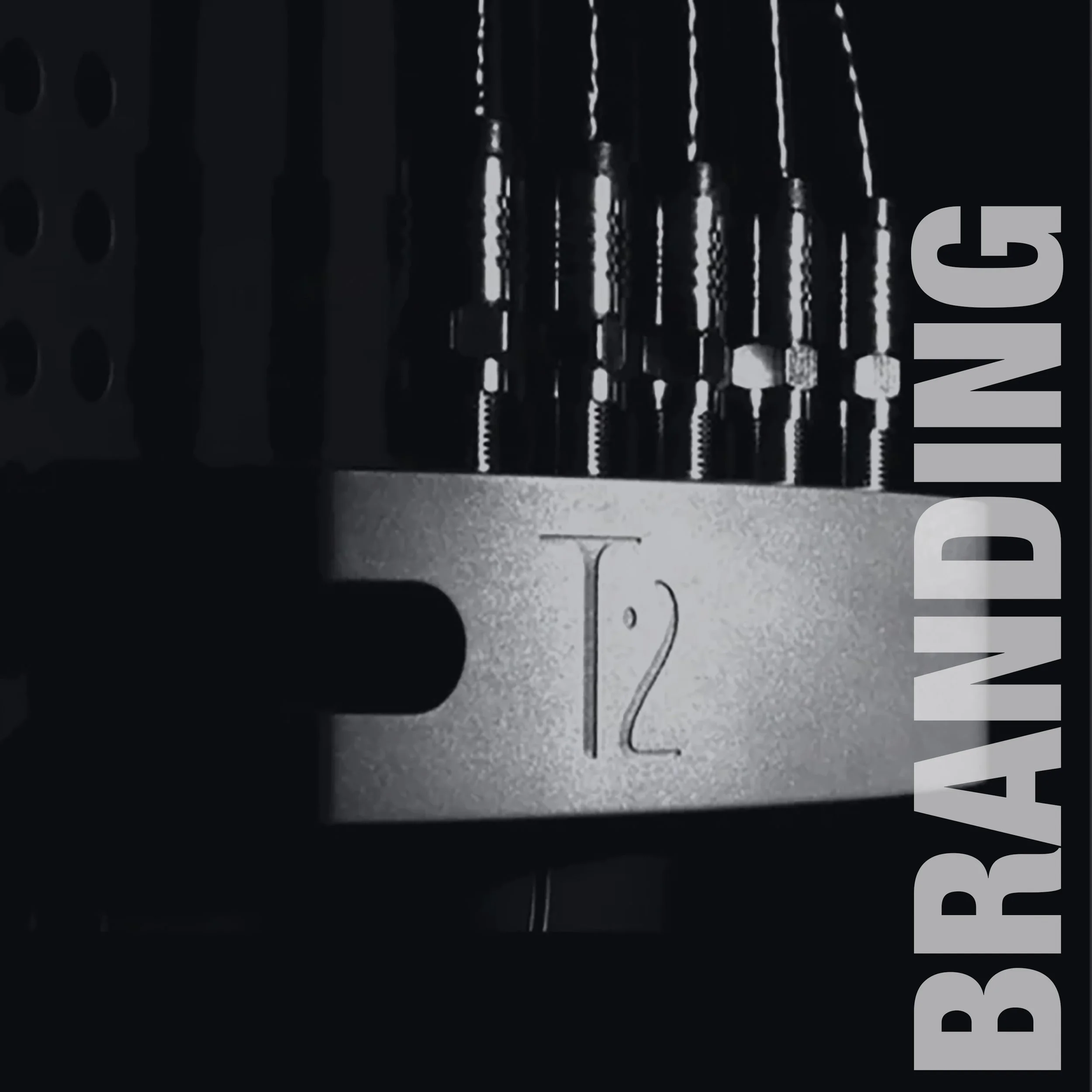 T2 BRAND.jpg