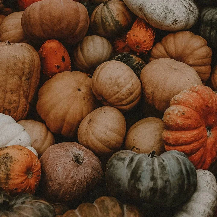 Did you know that plastic makes up 90% of the materials used in the millions of Halloween costumes sold each year? Photo taken by Unsplash.