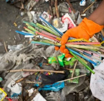 Photo taken by Greenpeace
