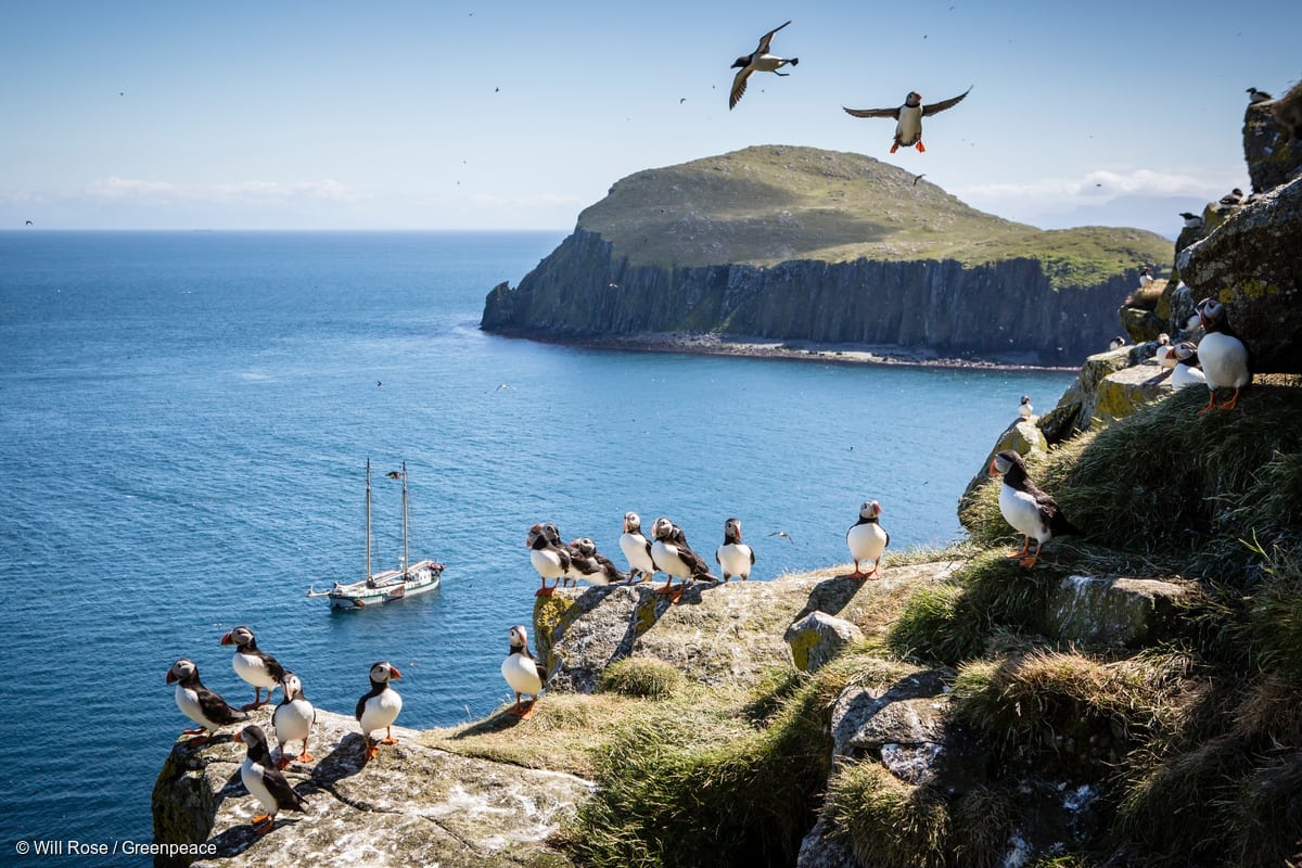 Photo taken by Will Rose / Greenpeace