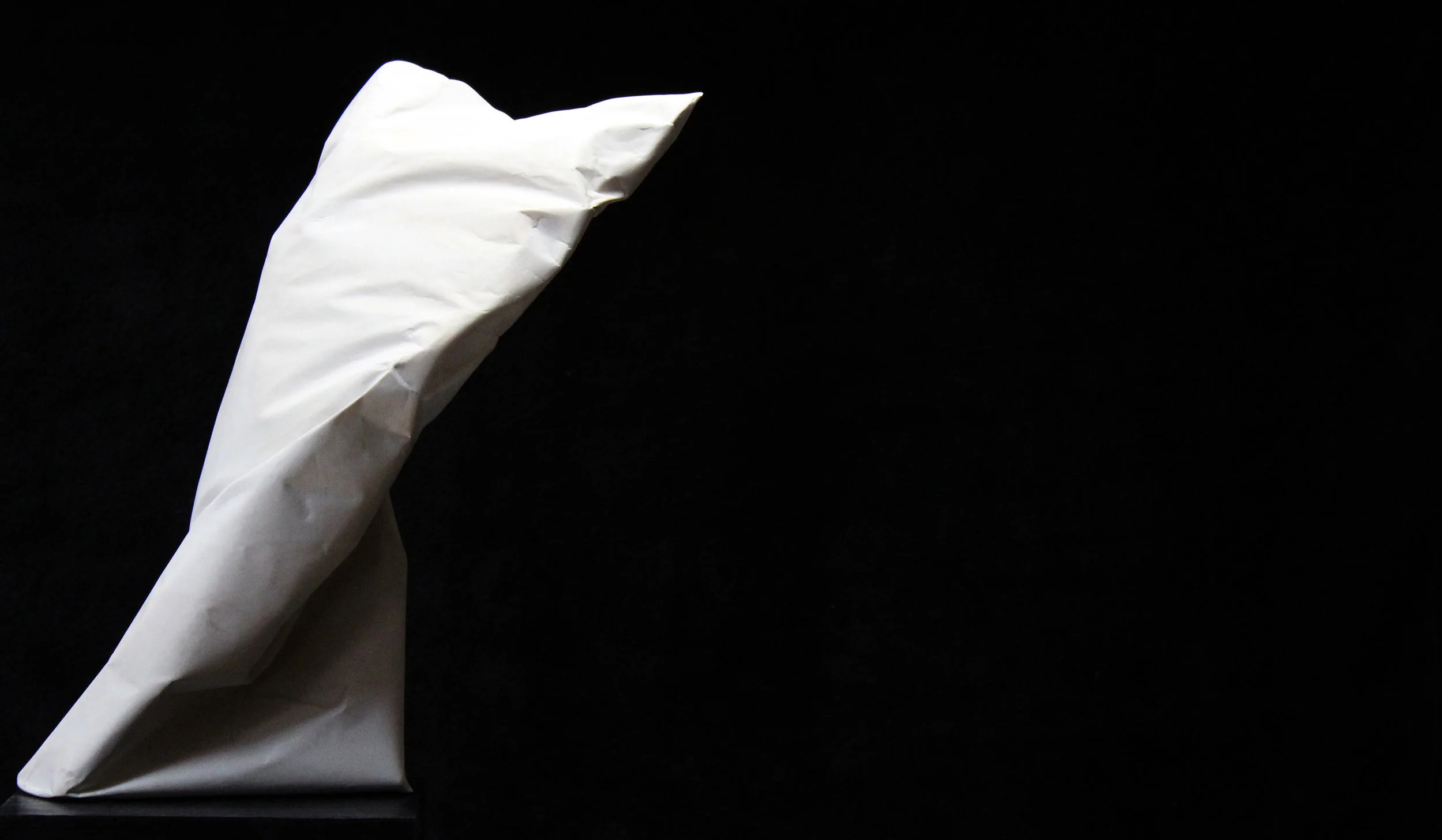 Movement & Texture: Emotional Baggage No.3, photography by Joanna Allen.