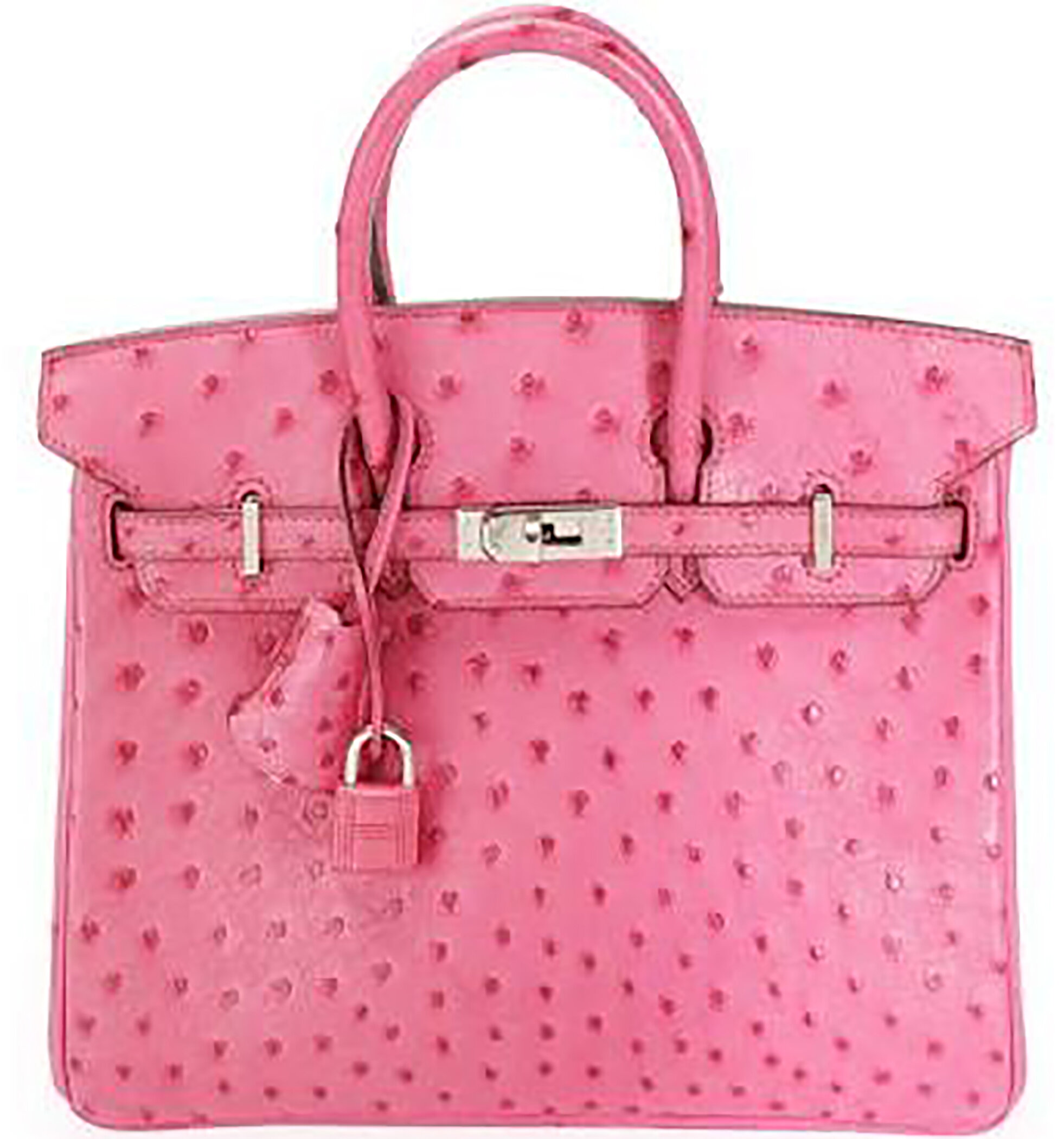 rory pink birkin bag