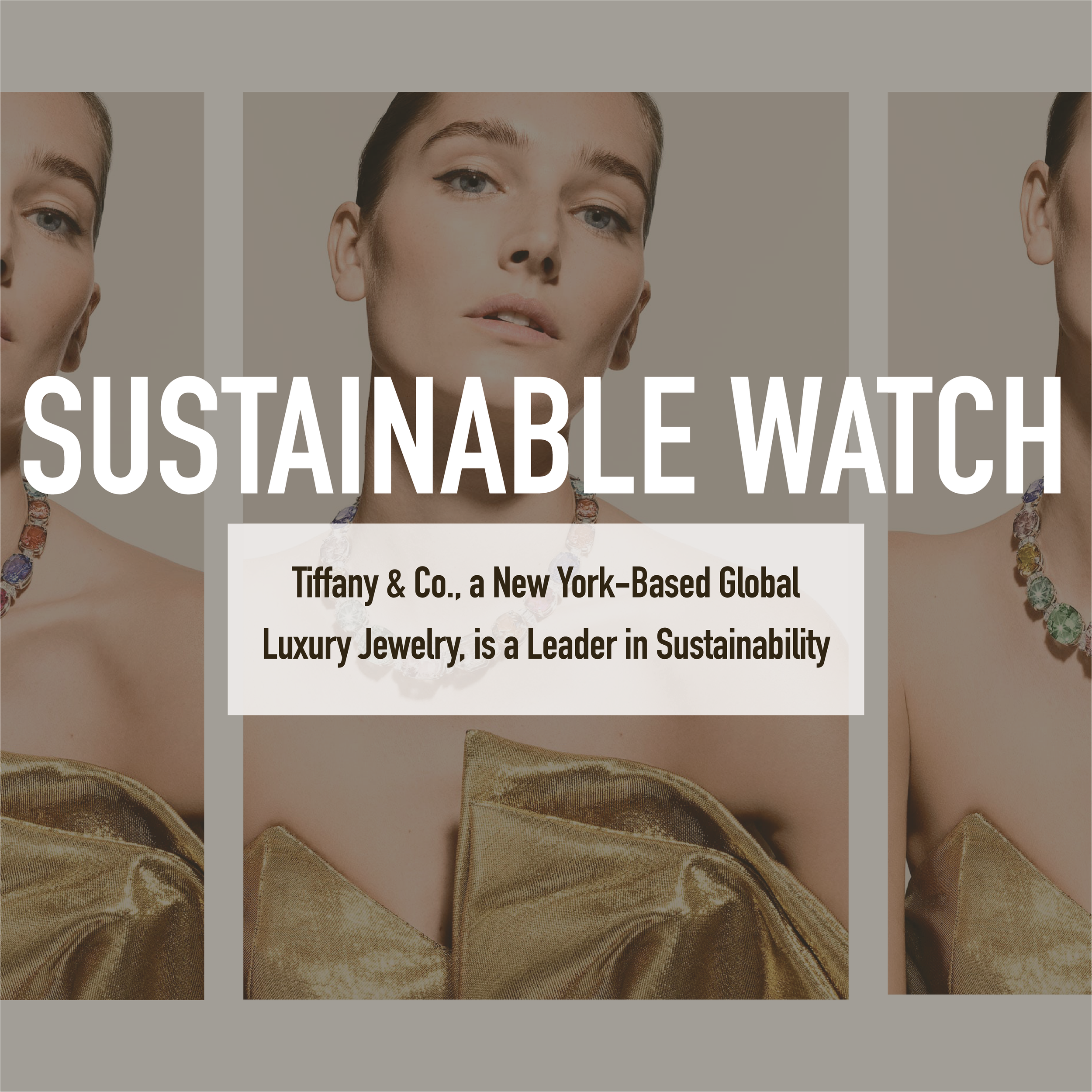 Tiffany & co - sustainability report