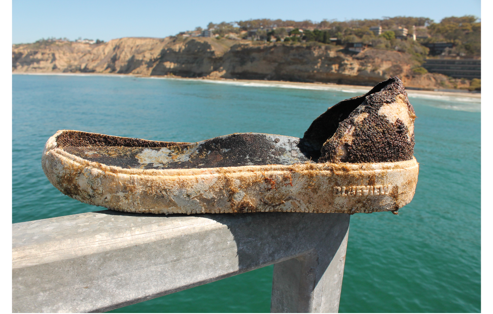 BLUEVIEW’s Footwear Are Making for a Greener Planet — PhotoBook Magazine