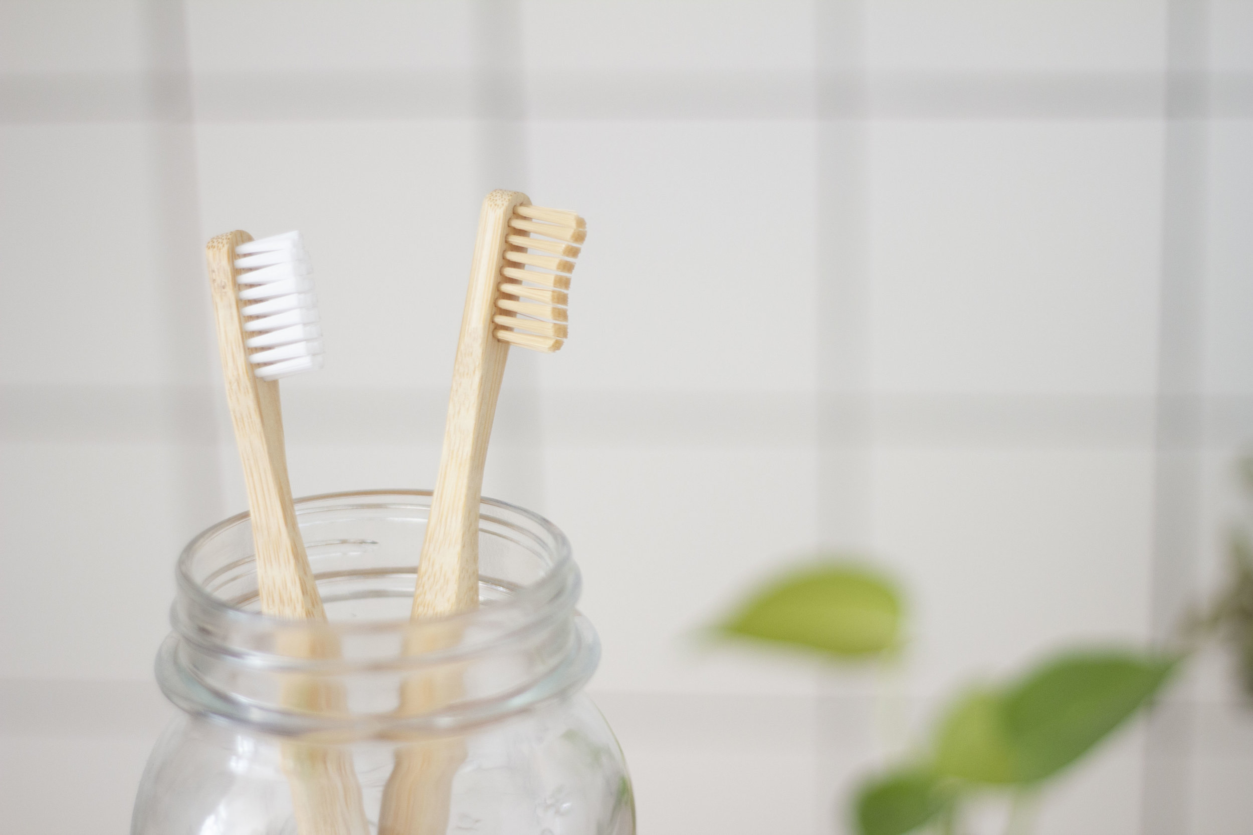 Oral Health