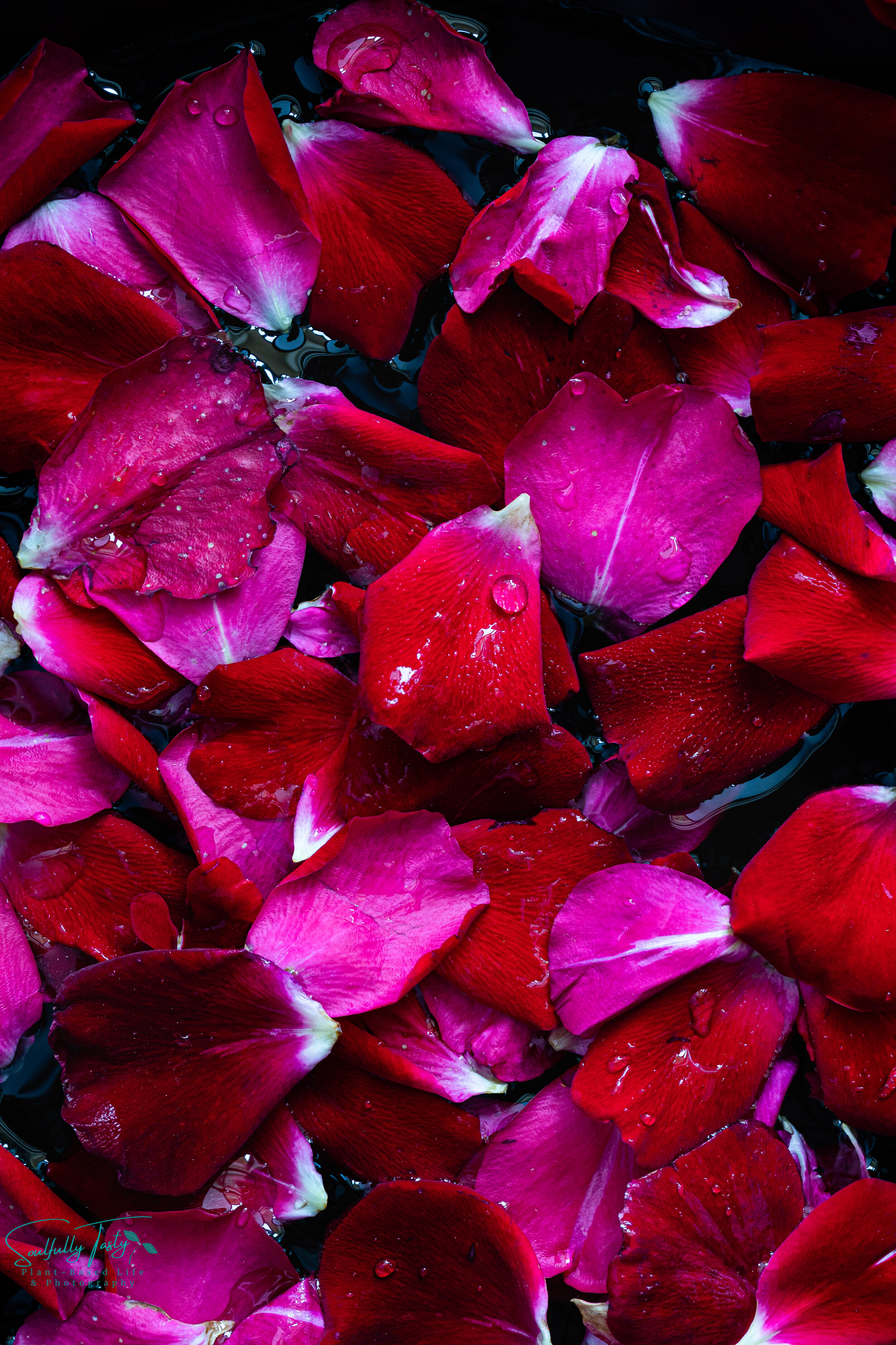 Edible Rose Petals - Saffron and More