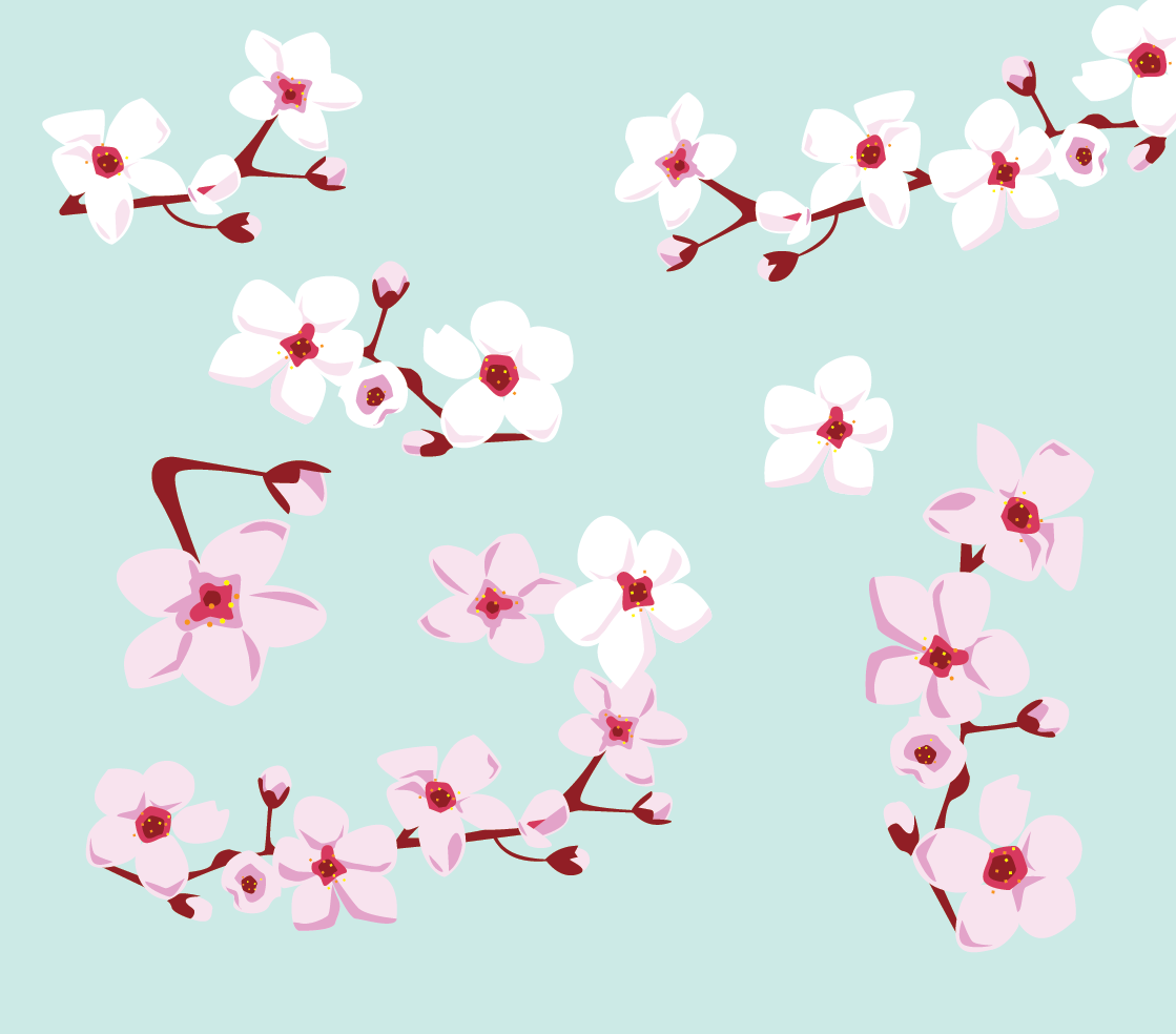 sakura_02-01.png