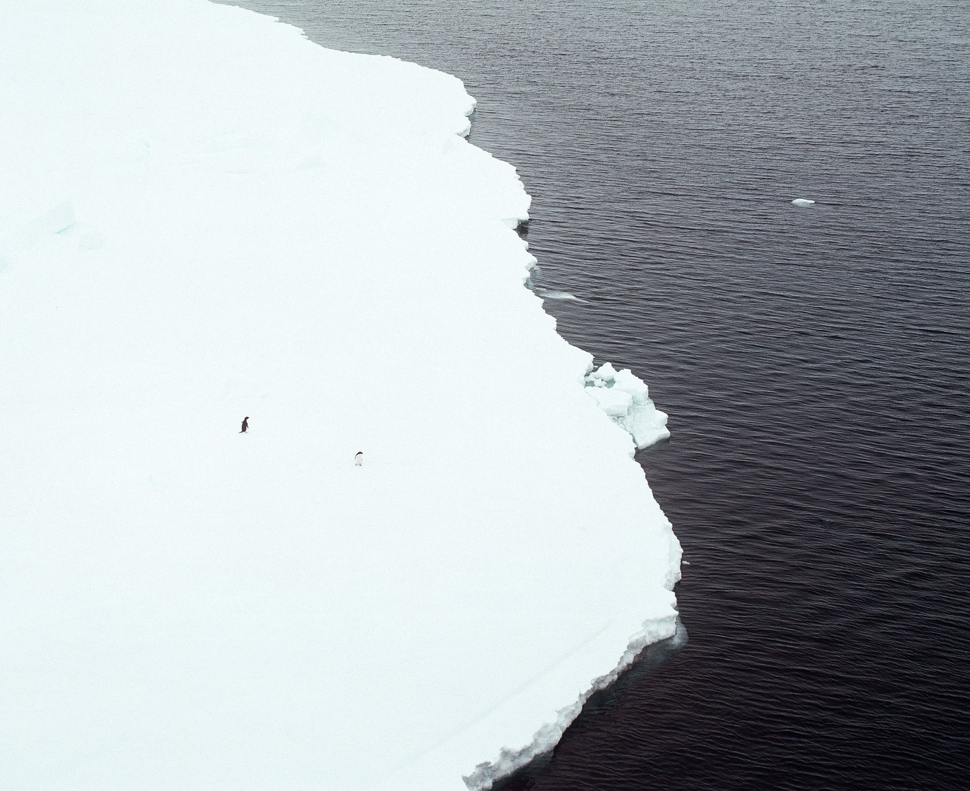 On the Edge.jpg